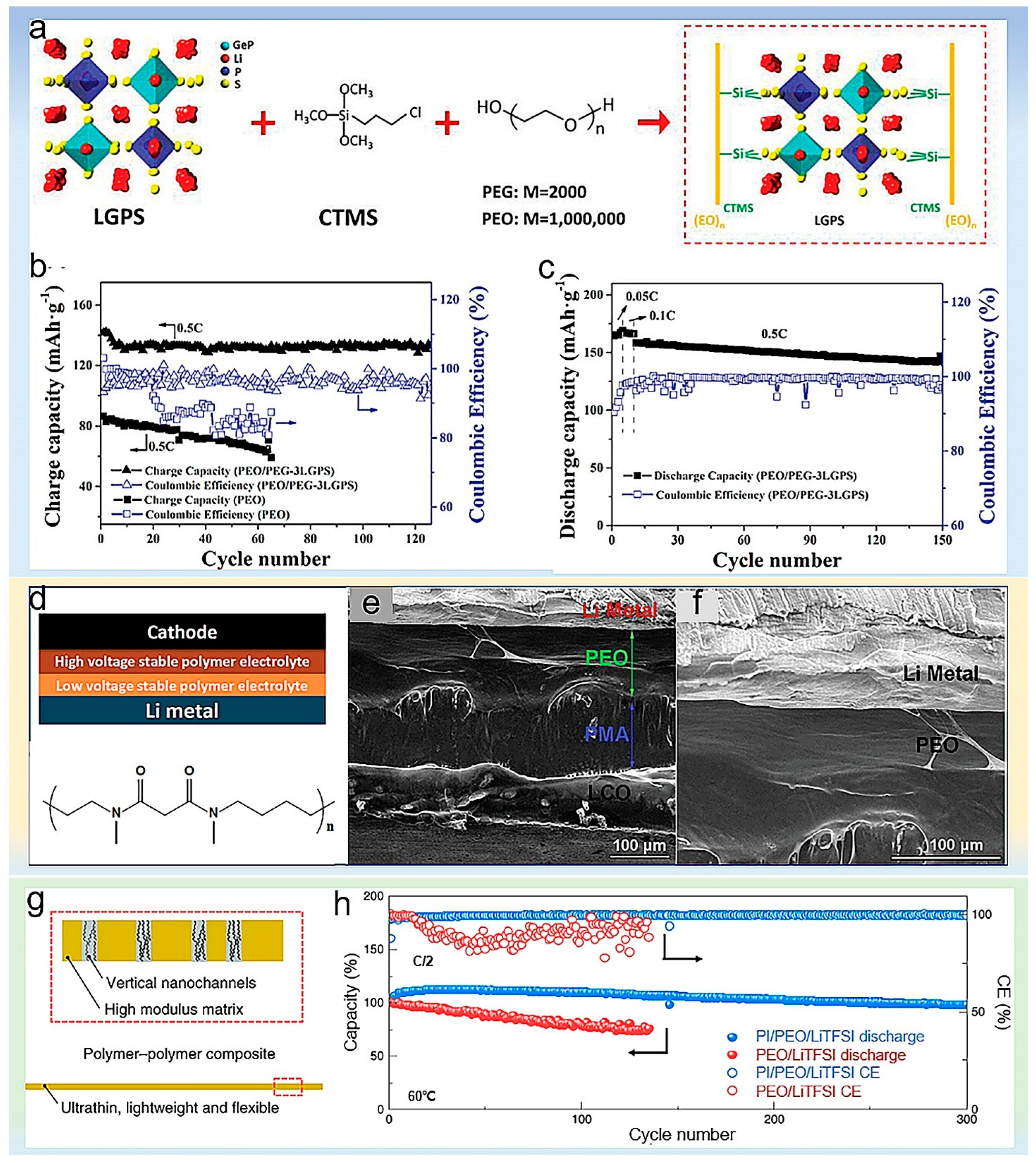 Polymers 14 03452 g009