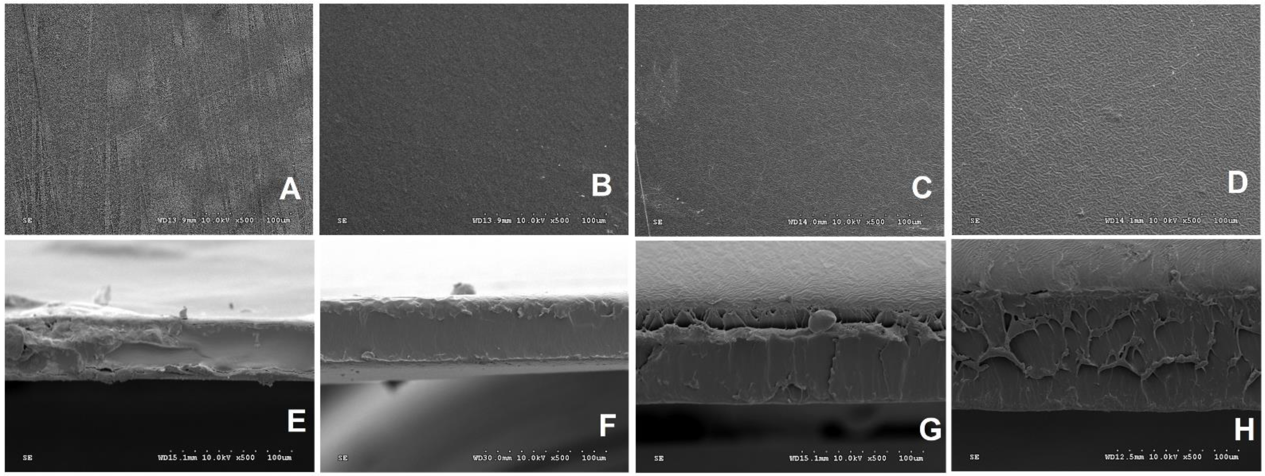 Polymers 14 03462 g005