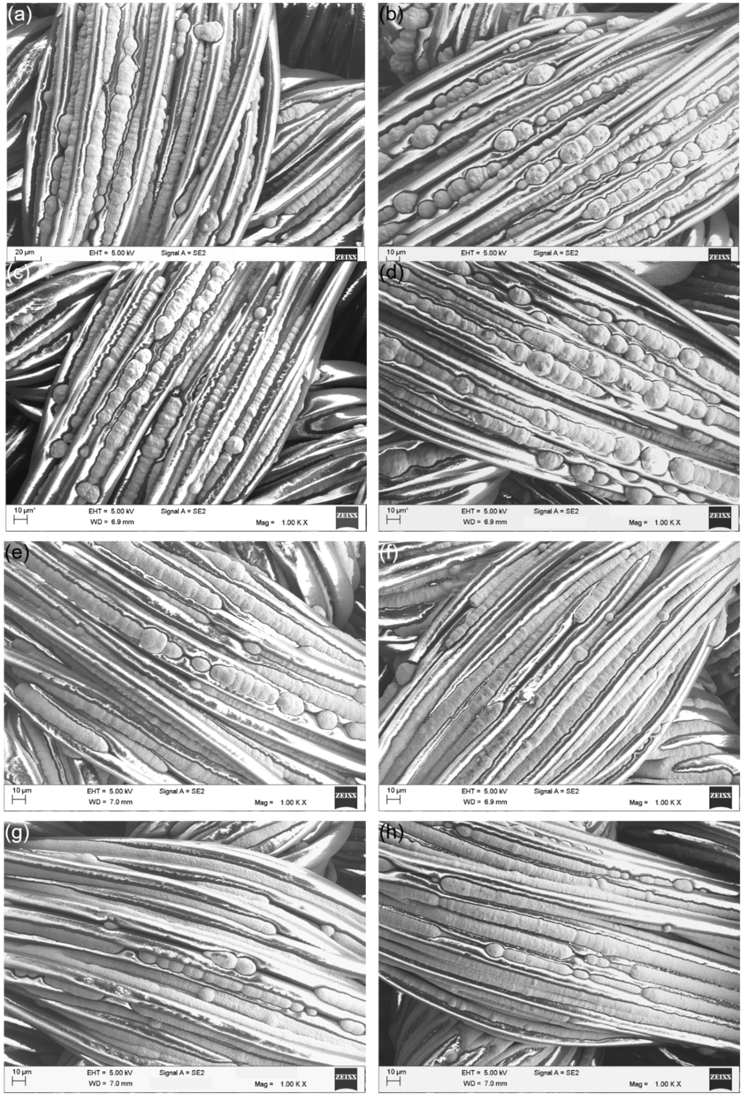 Polymers 14 03467 g007