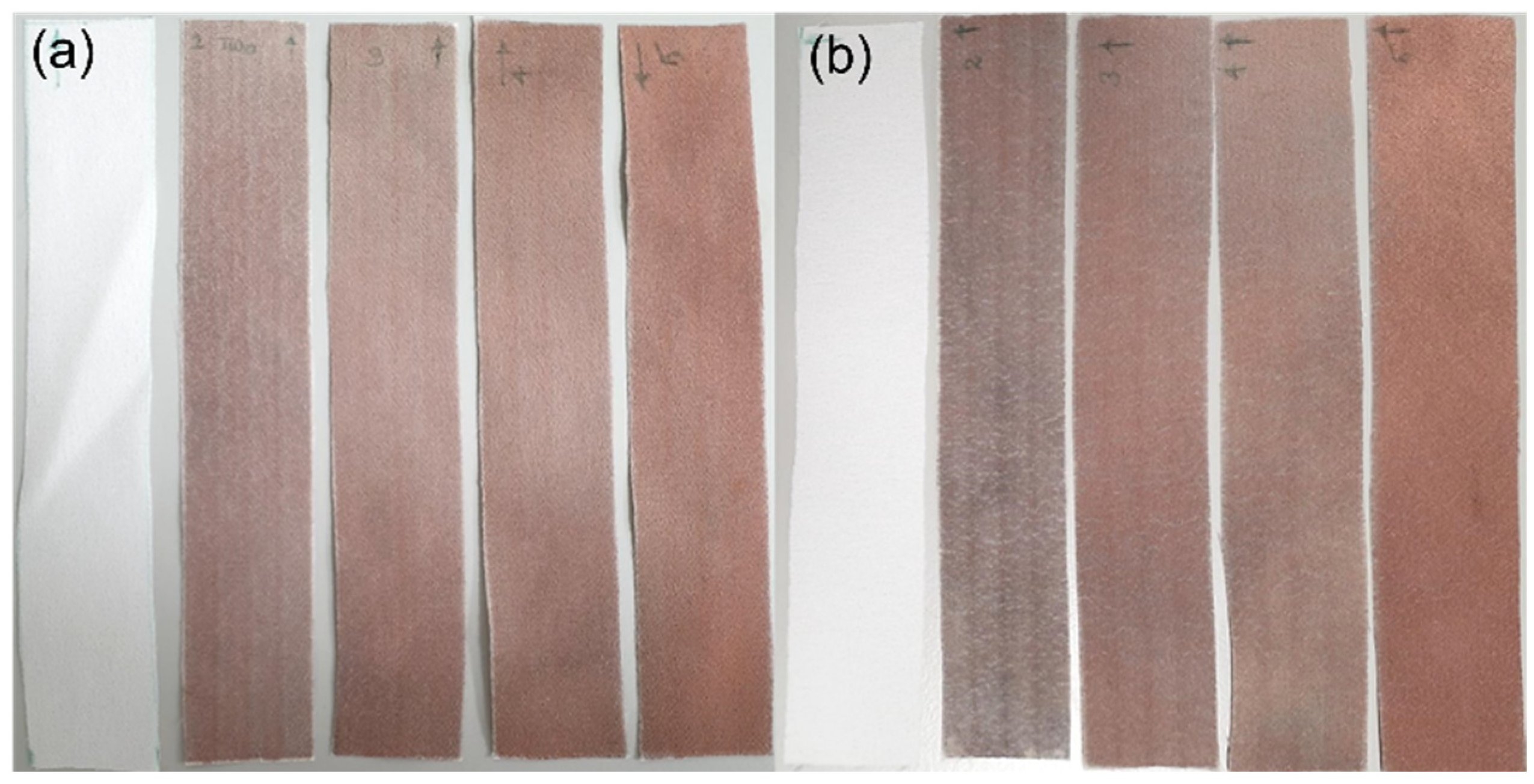 Polymers 14 03467 g012
