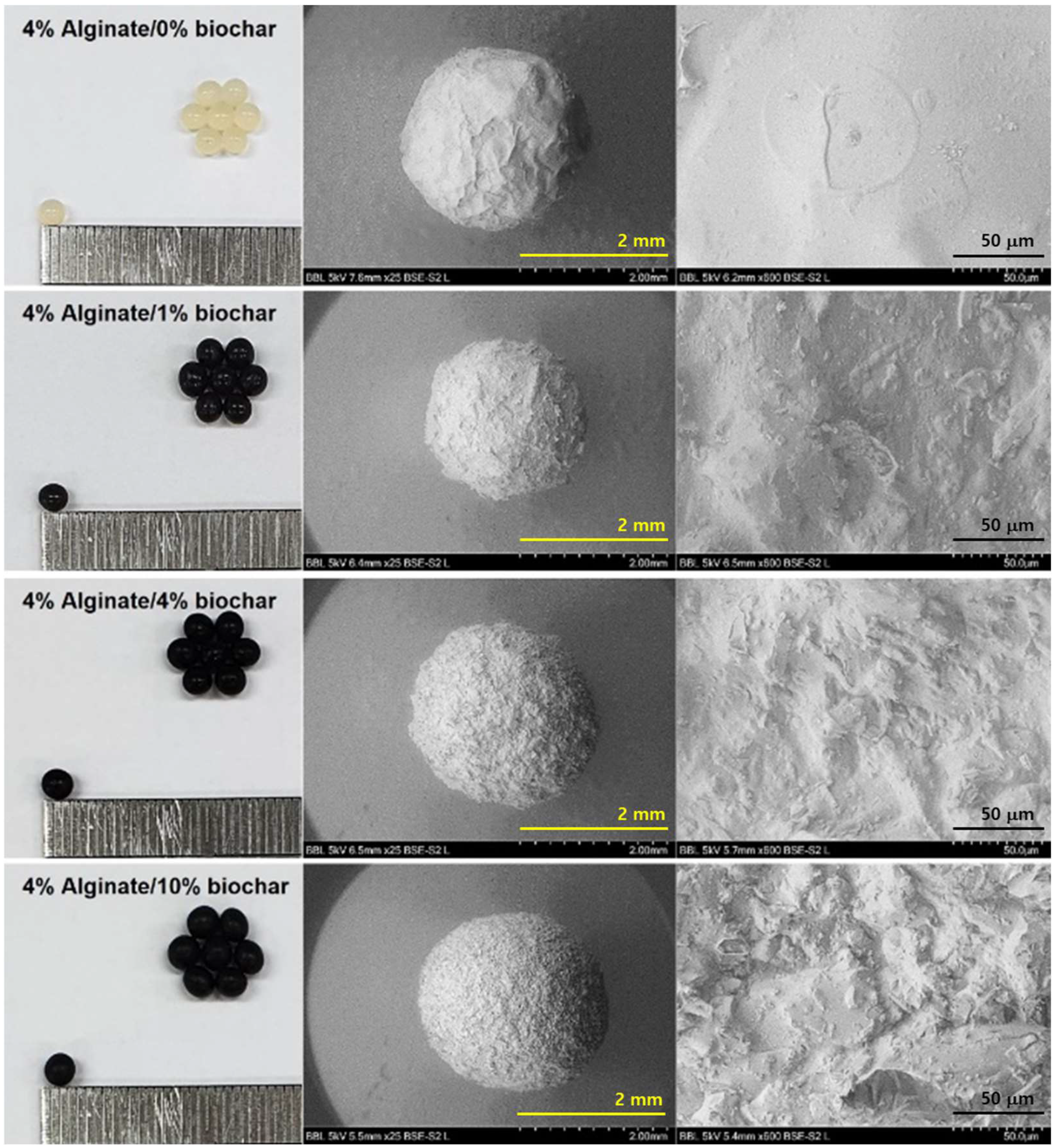 Polymers 14 03468 g002