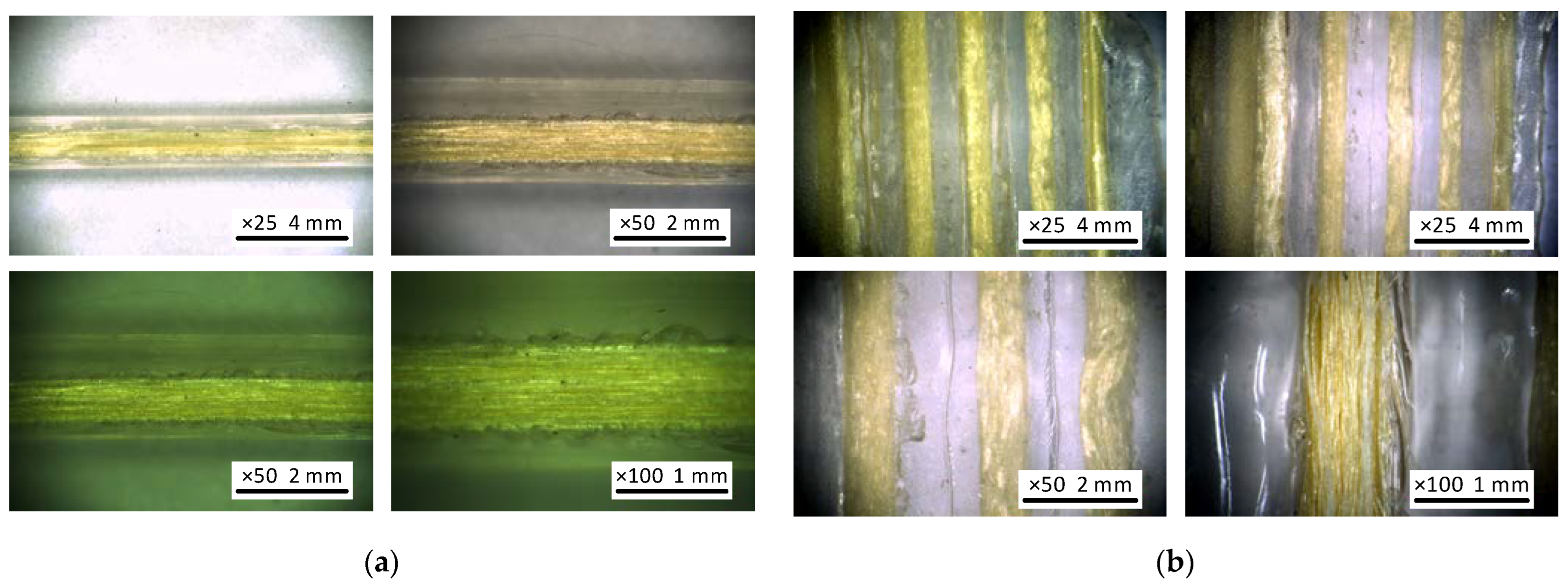 Polymers 14 03471 g007