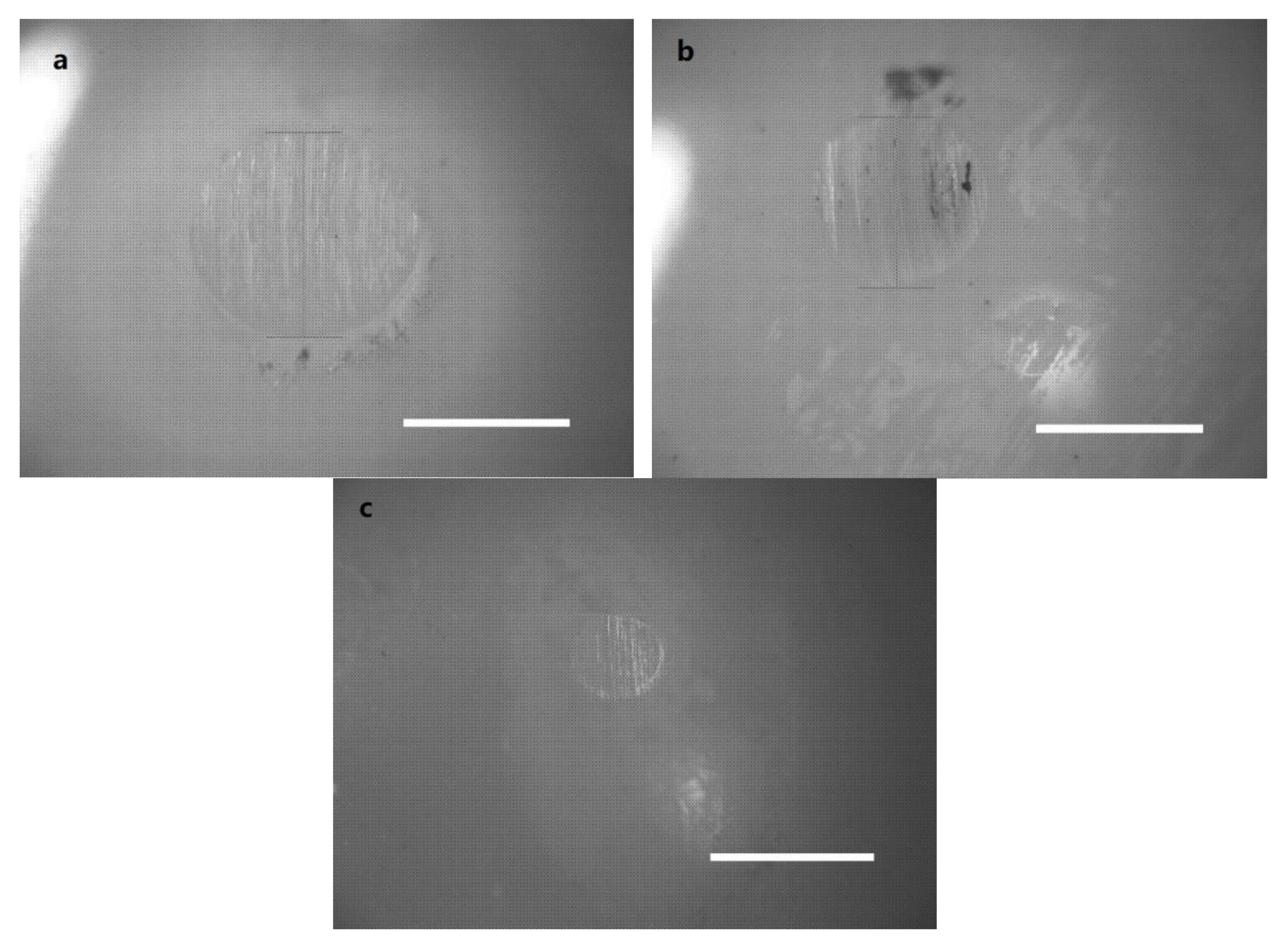 Polymers 14 03485 g004