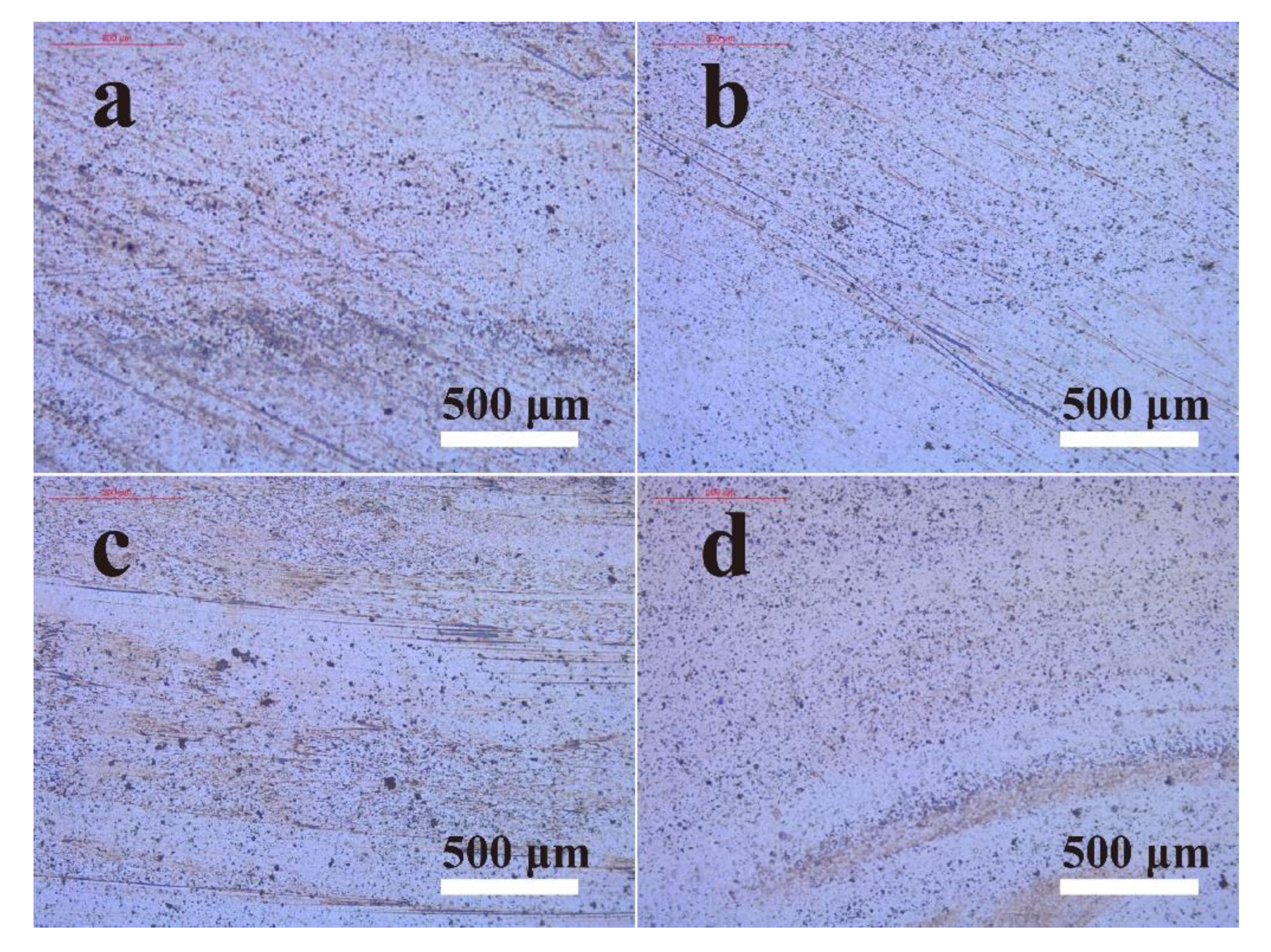 Polymers 14 03485 g007
