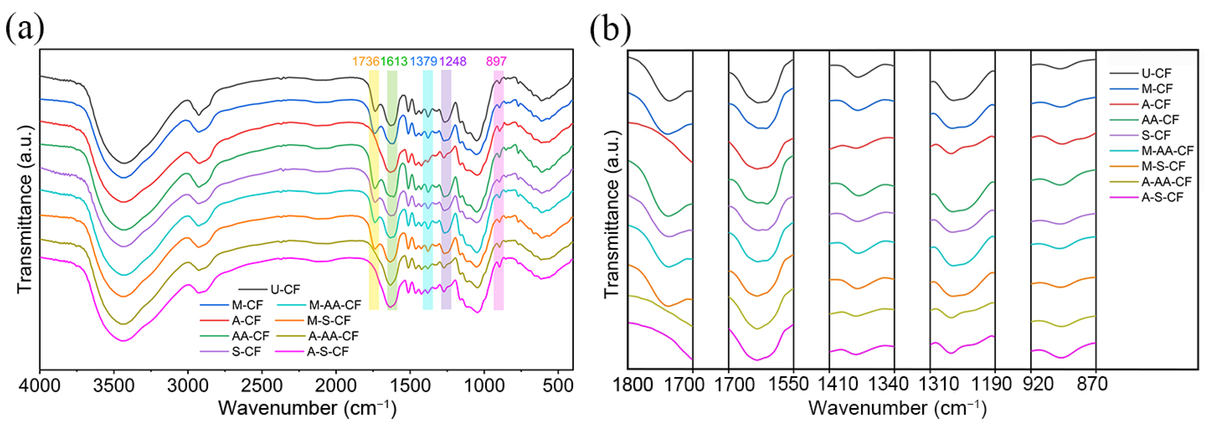 Polymers 14 03488 g005