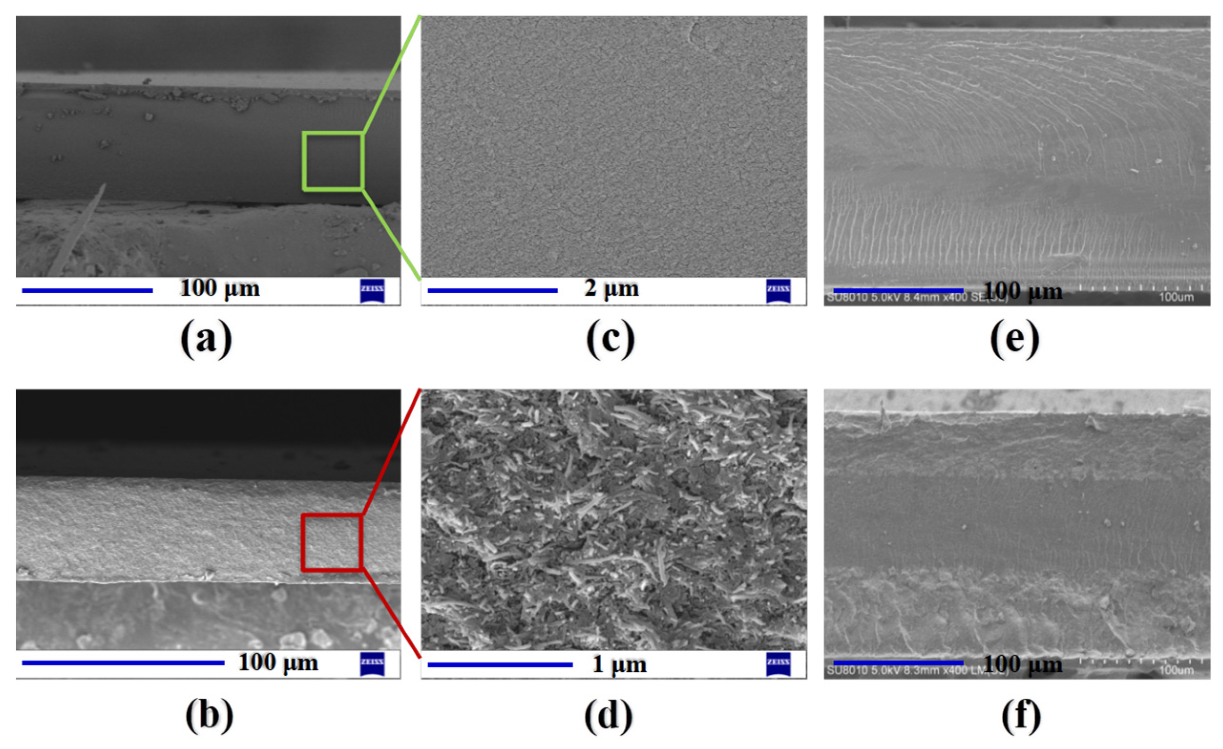 Polymers 14 03494 g004