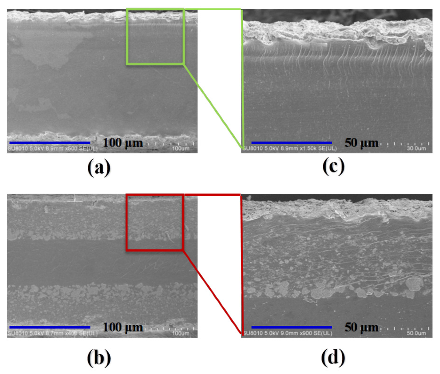 Polymers 14 03494 g005