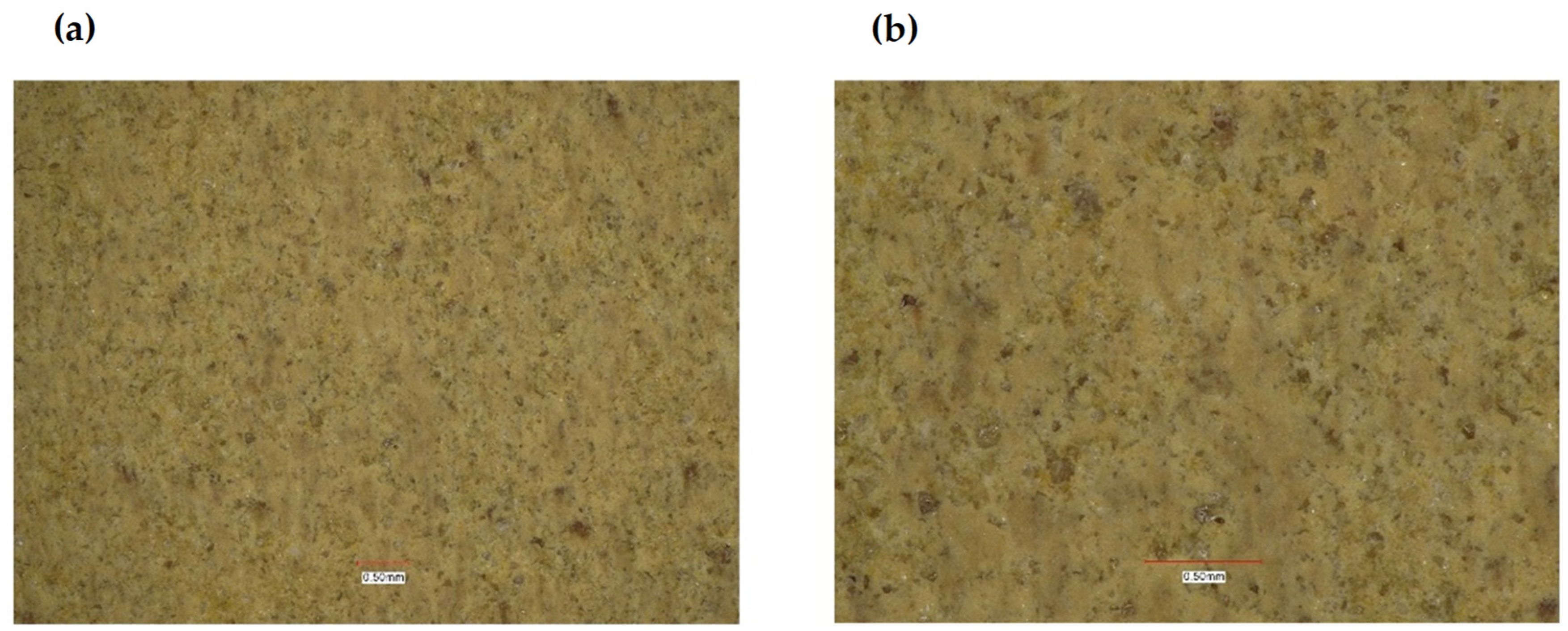 Polymers 14 03501 g008