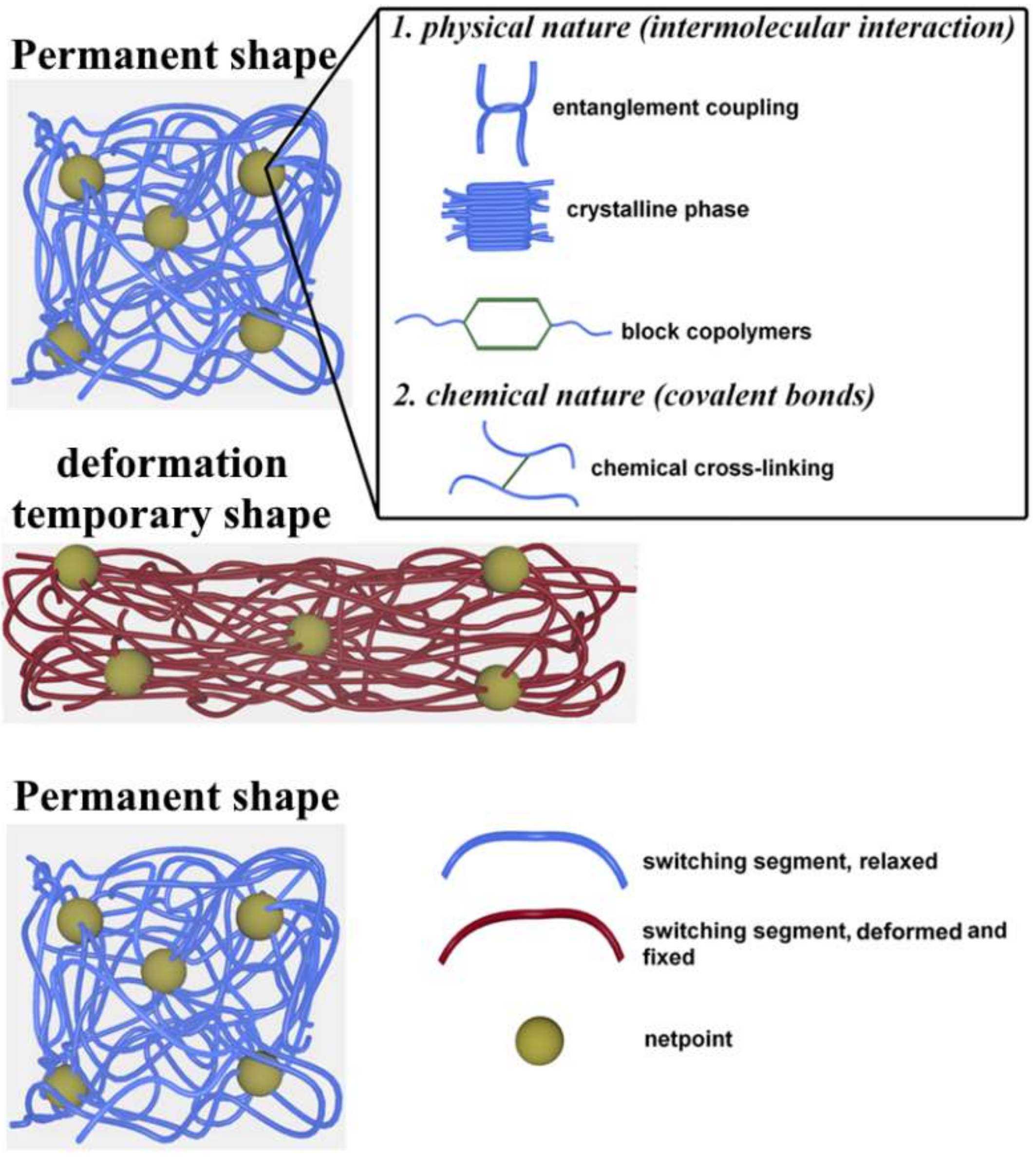 Shape Memory Polymers as Smart Materials: A Review | MDPI