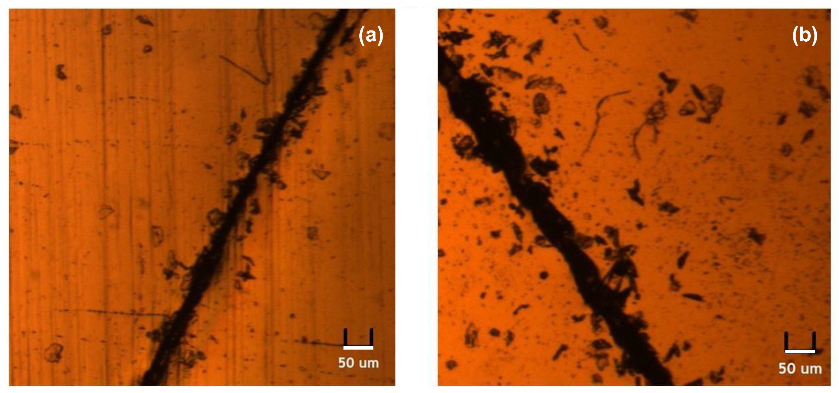 Polymers 14 03520 g005