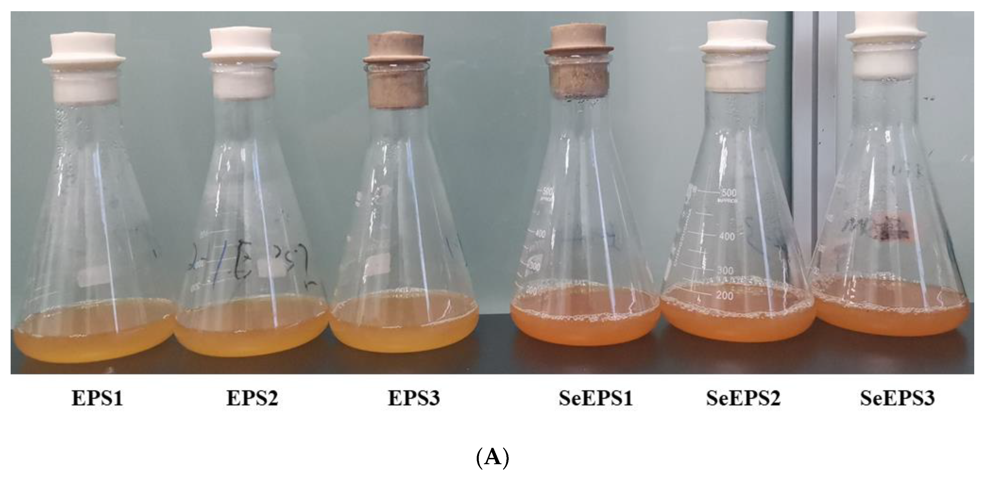 Polymers 14 03523 g001a