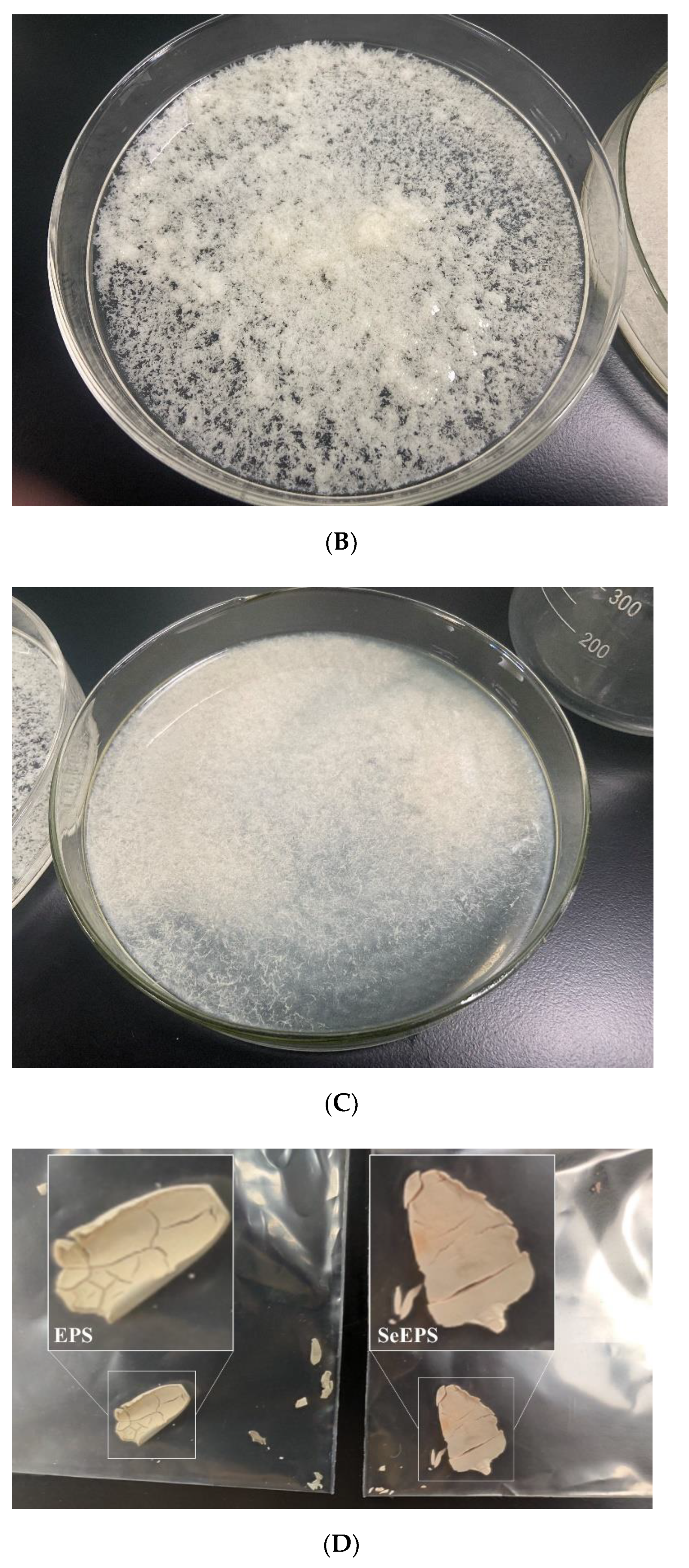 Polymers 14 03523 g001b