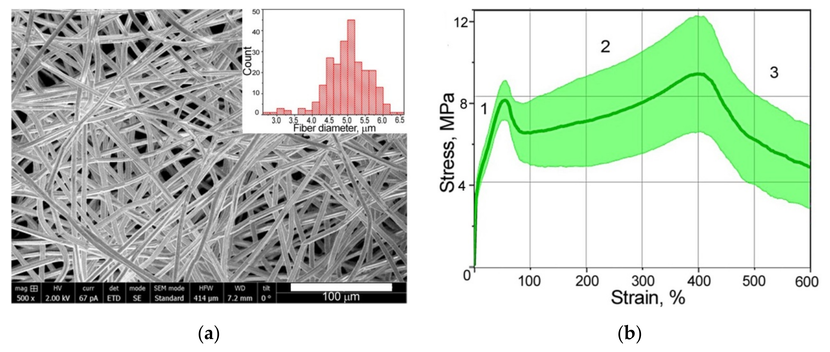 Polymers 14 03526 g002