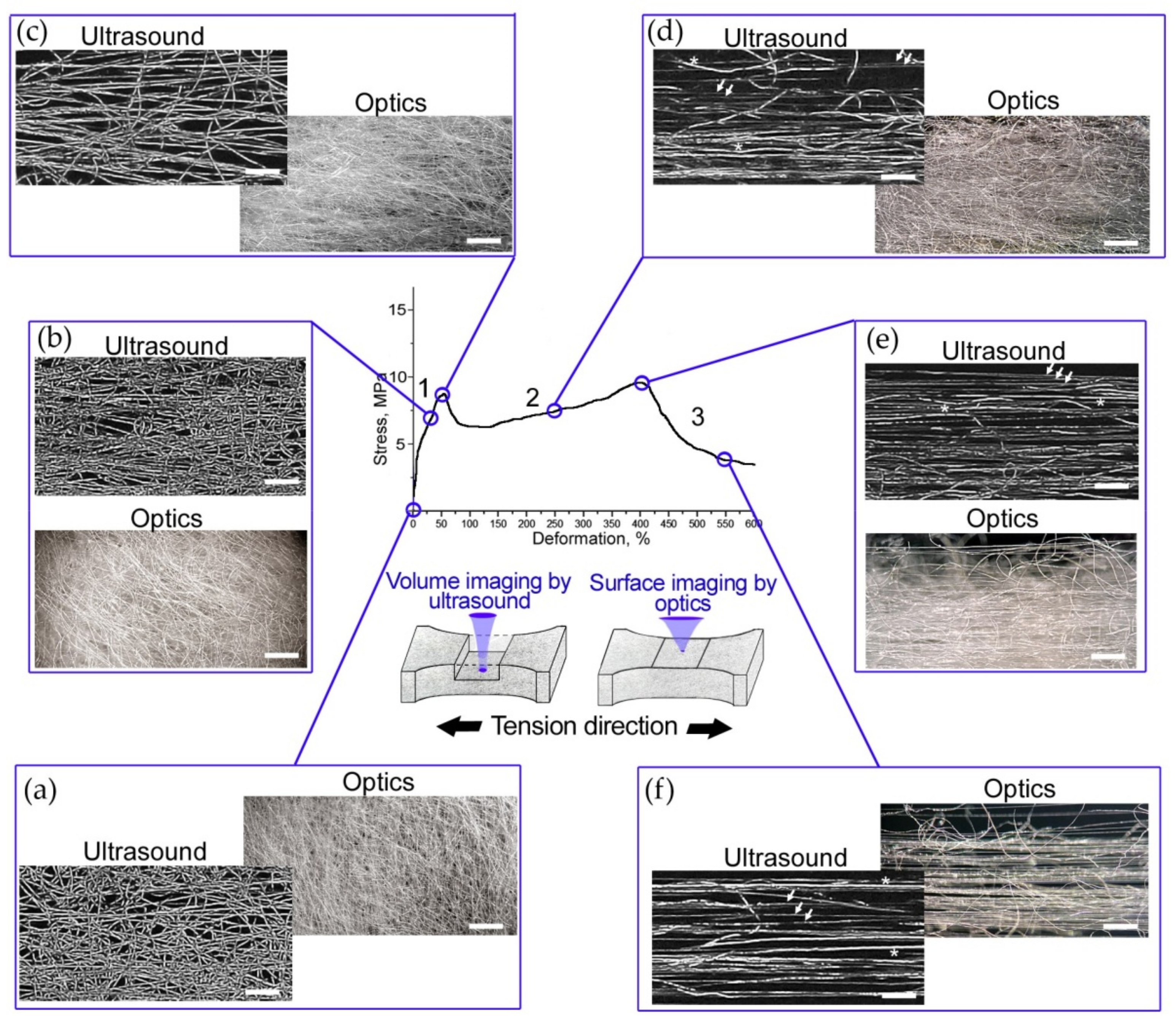 Polymers 14 03526 g004
