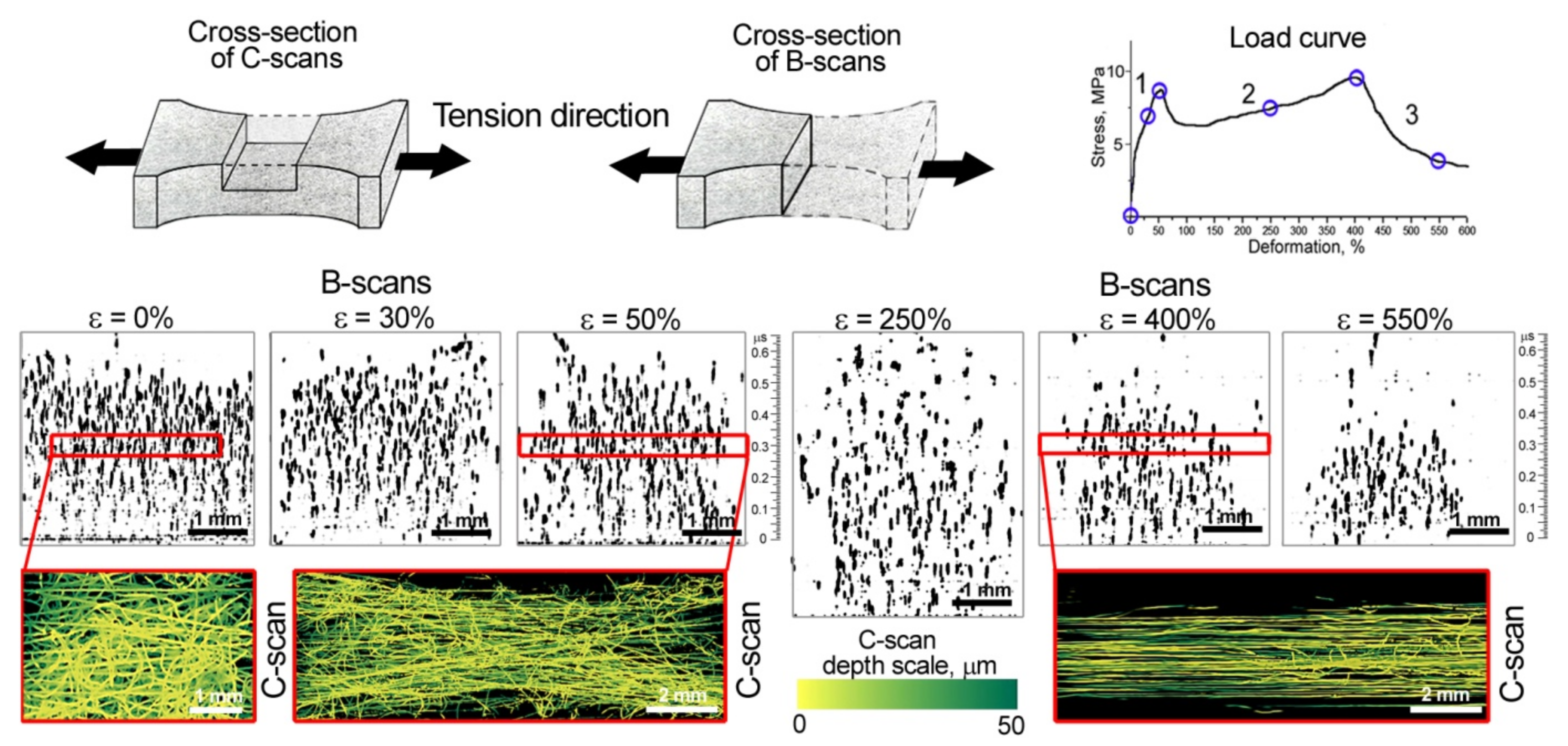 Polymers 14 03526 g005