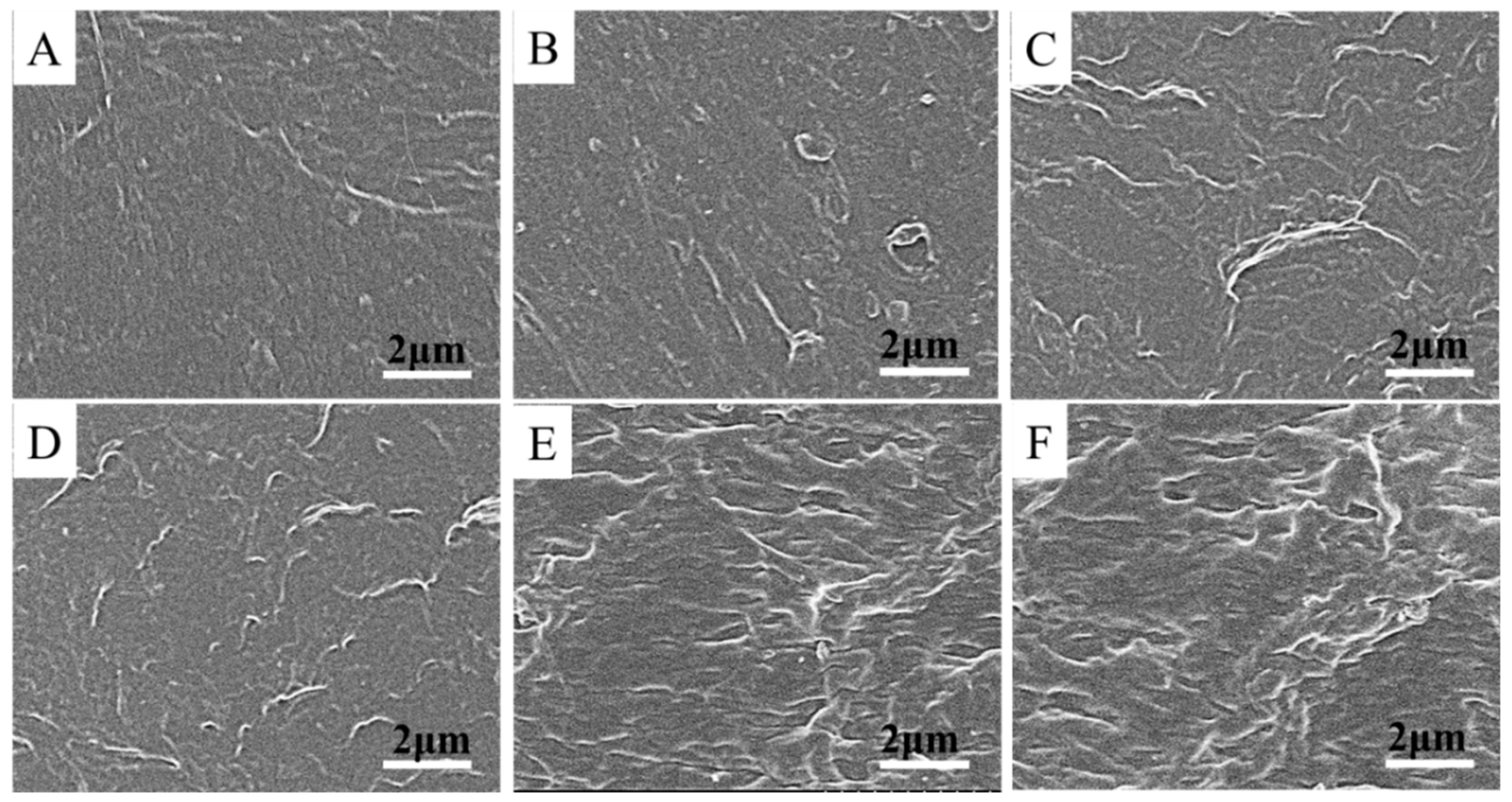 Polymers 14 03532 g005