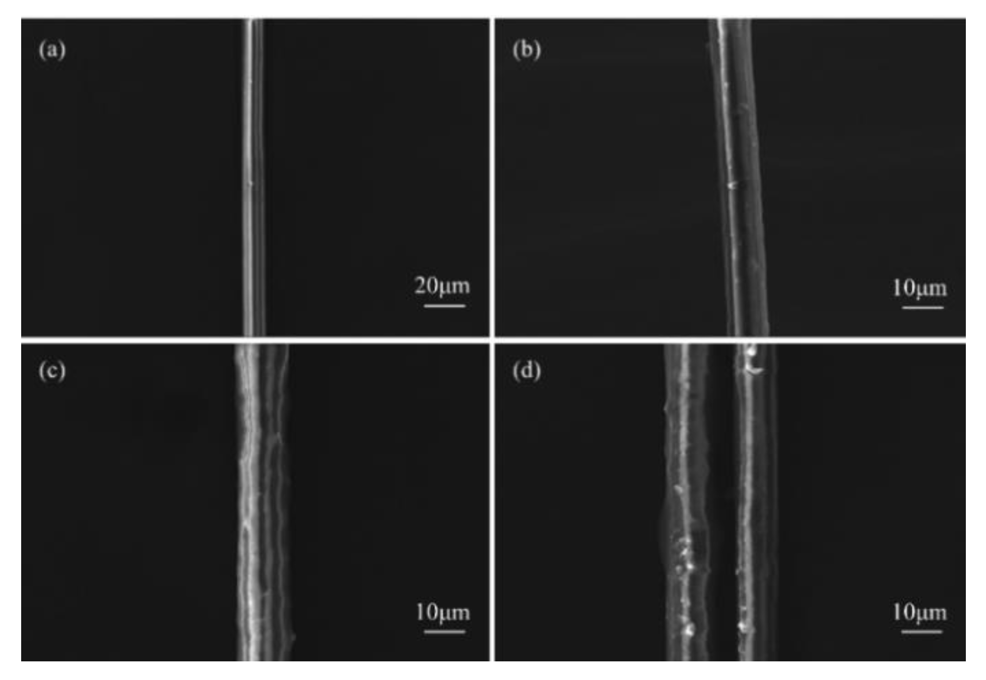 Polymers 14 03533 g001