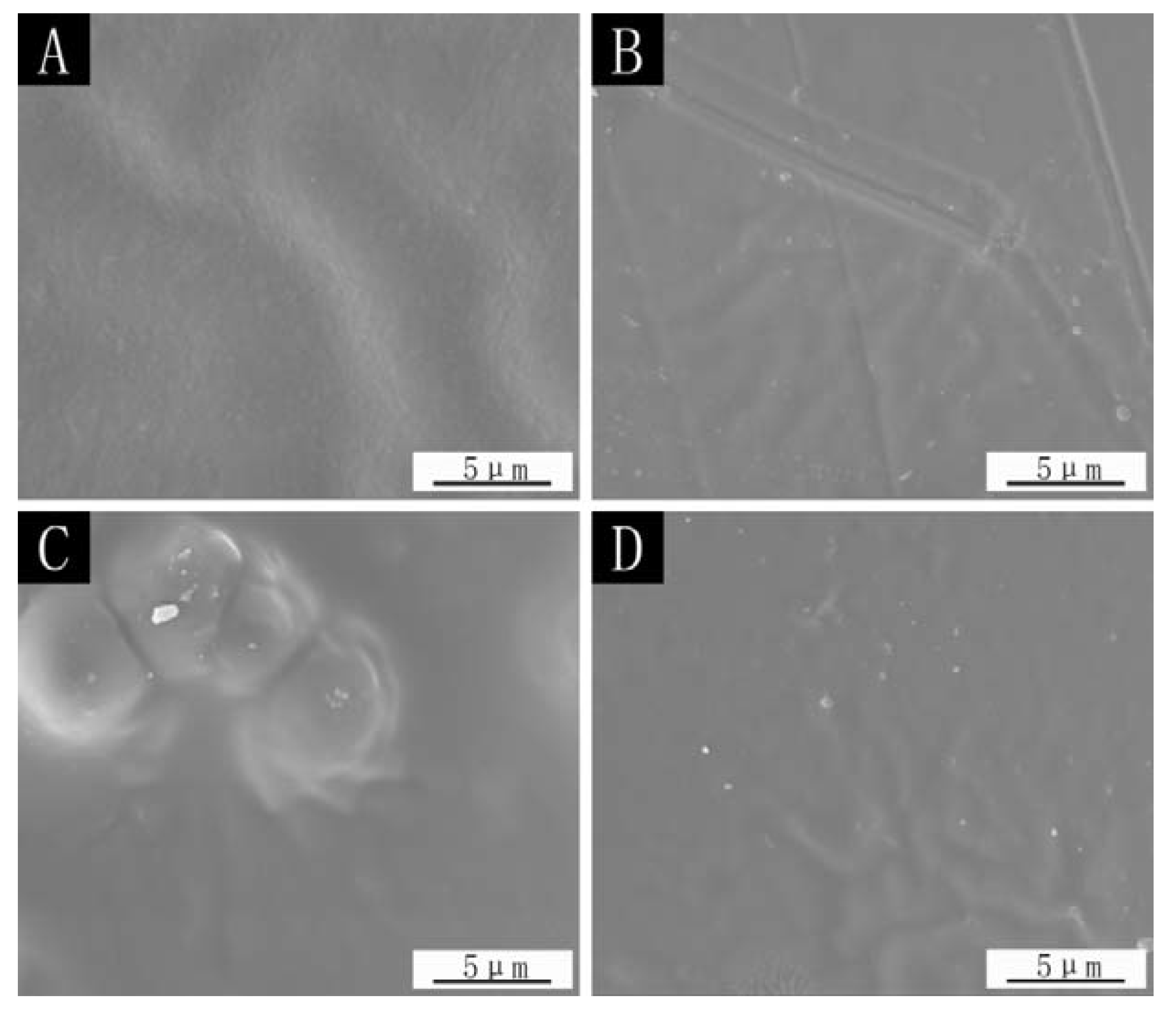 Polymers 14 03534 g006