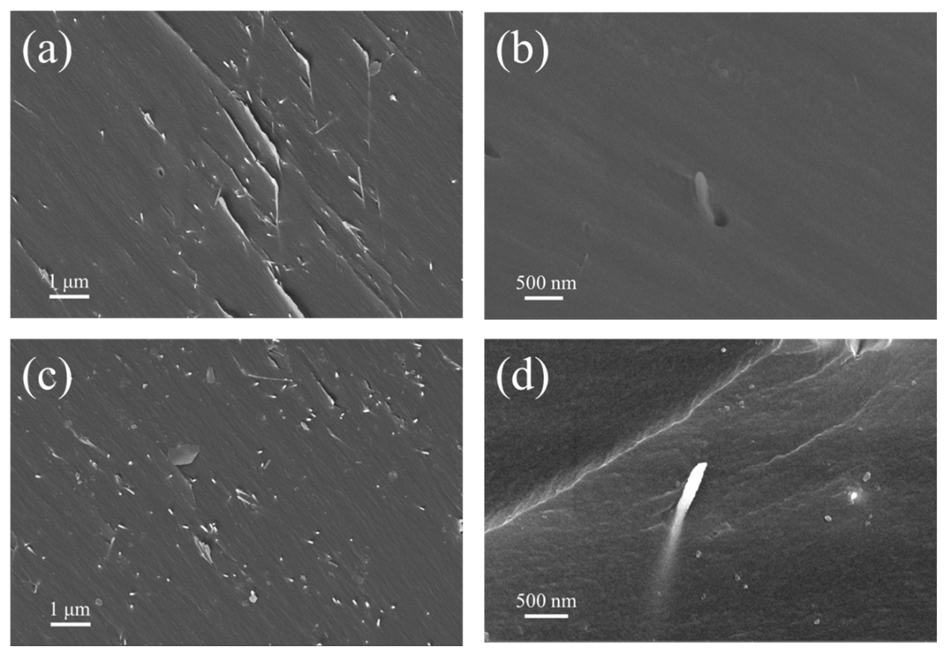 Polymers 14 03539 g006