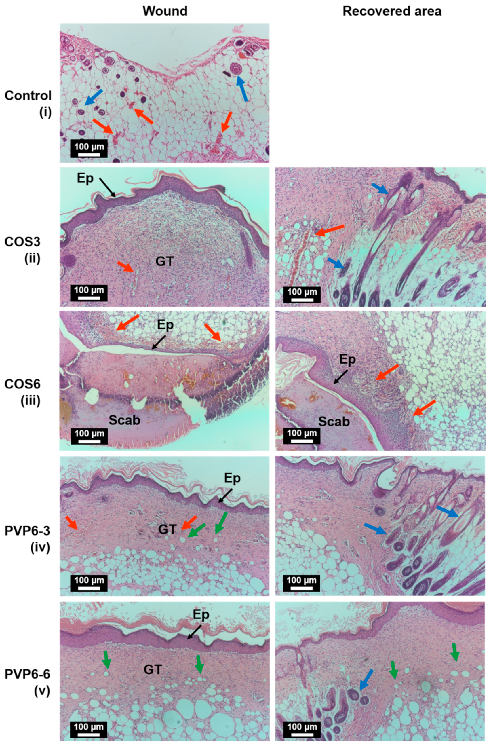 Polymers 14 03541 g005