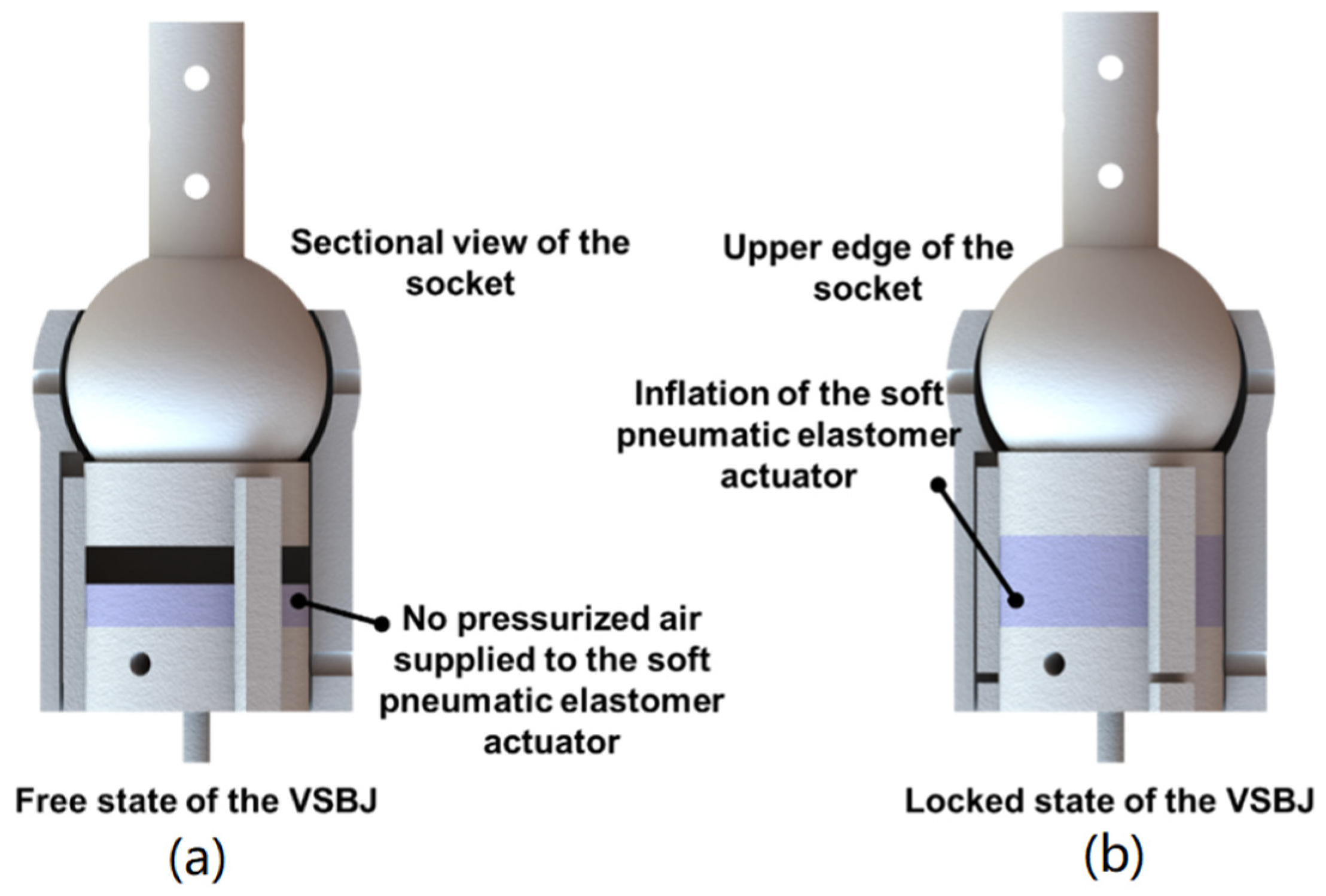 Polymers 14 03542 g003