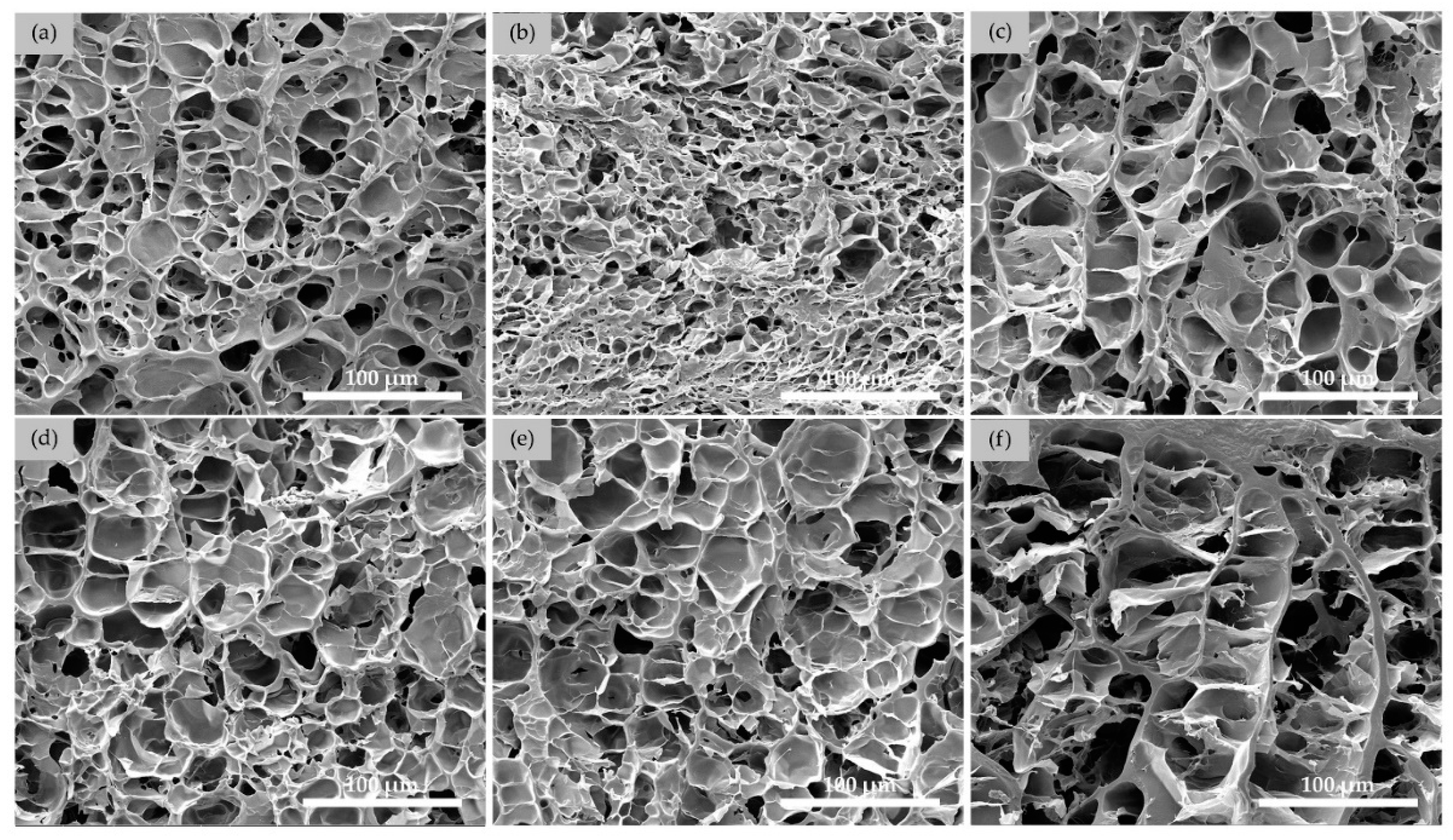 Polymers 14 03552 g002