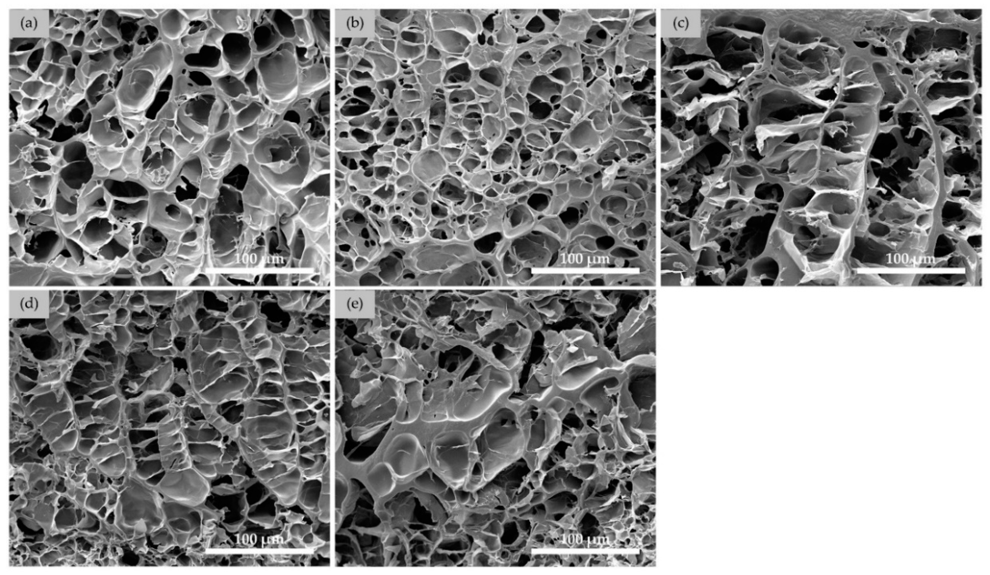 Polymers 14 03552 g003