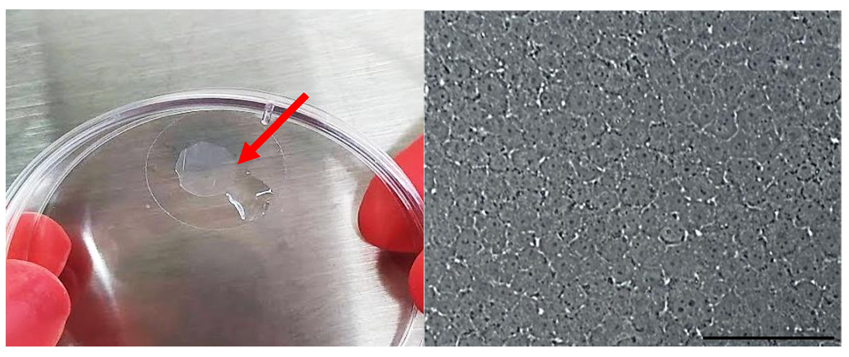 Polymers 14 03556 g007 Polymers 14 03556 g007