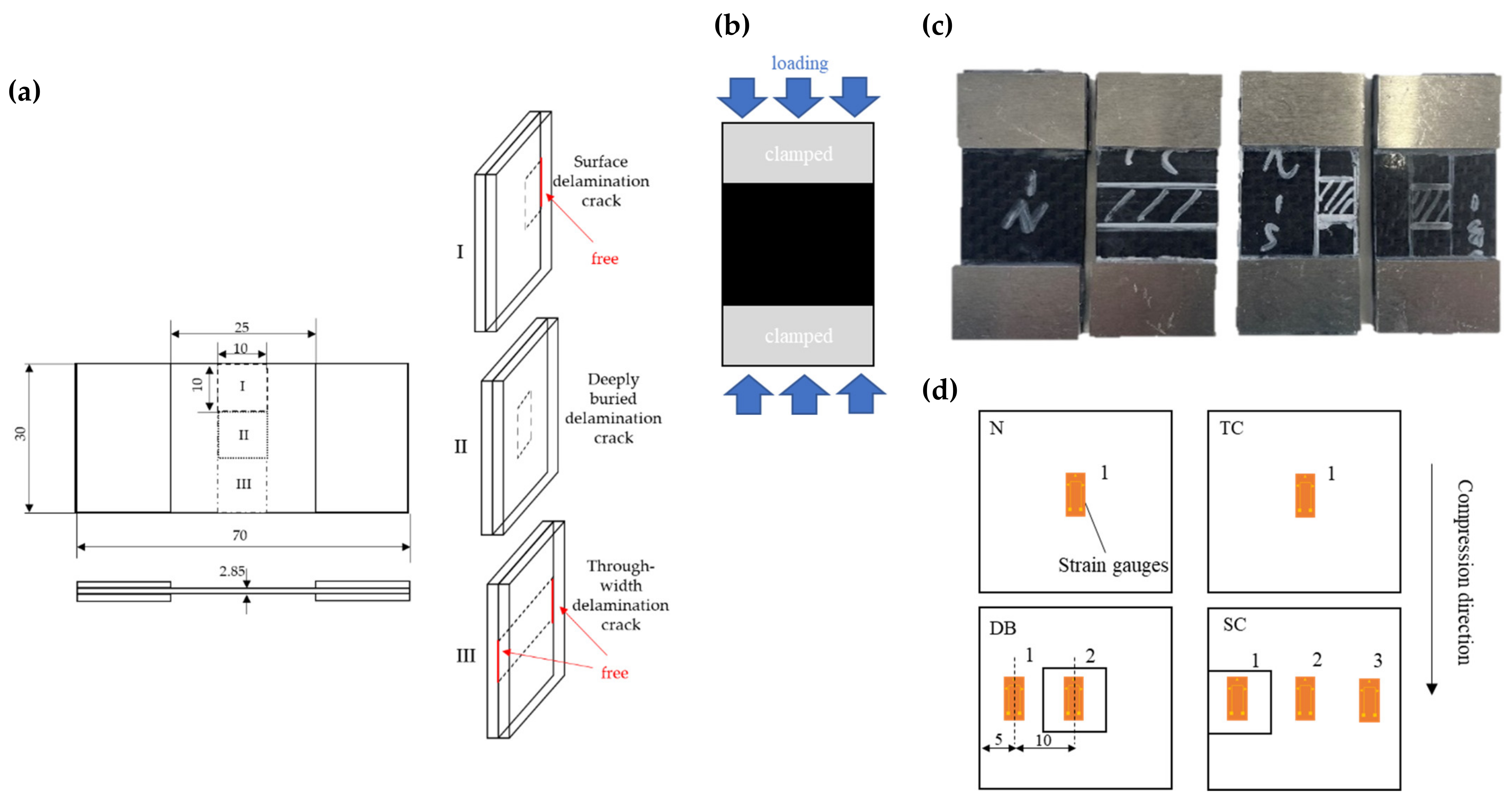 Polymers 14 03560 g001