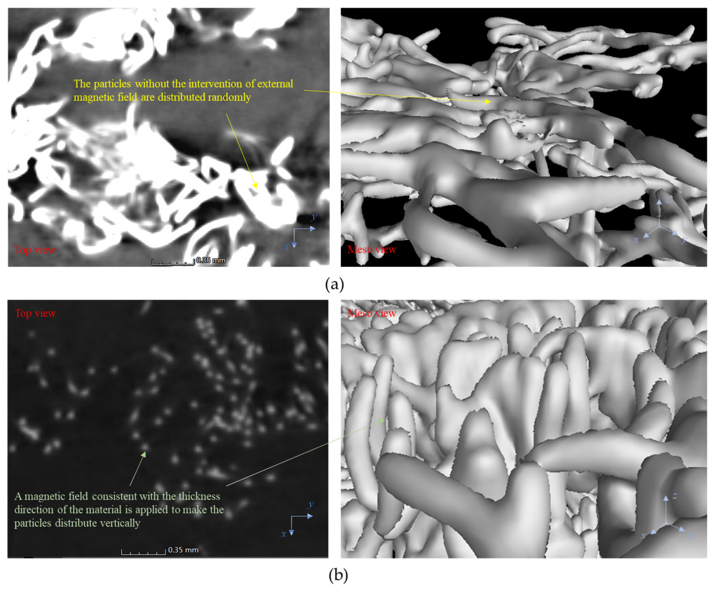 Polymers 14 03560 g002