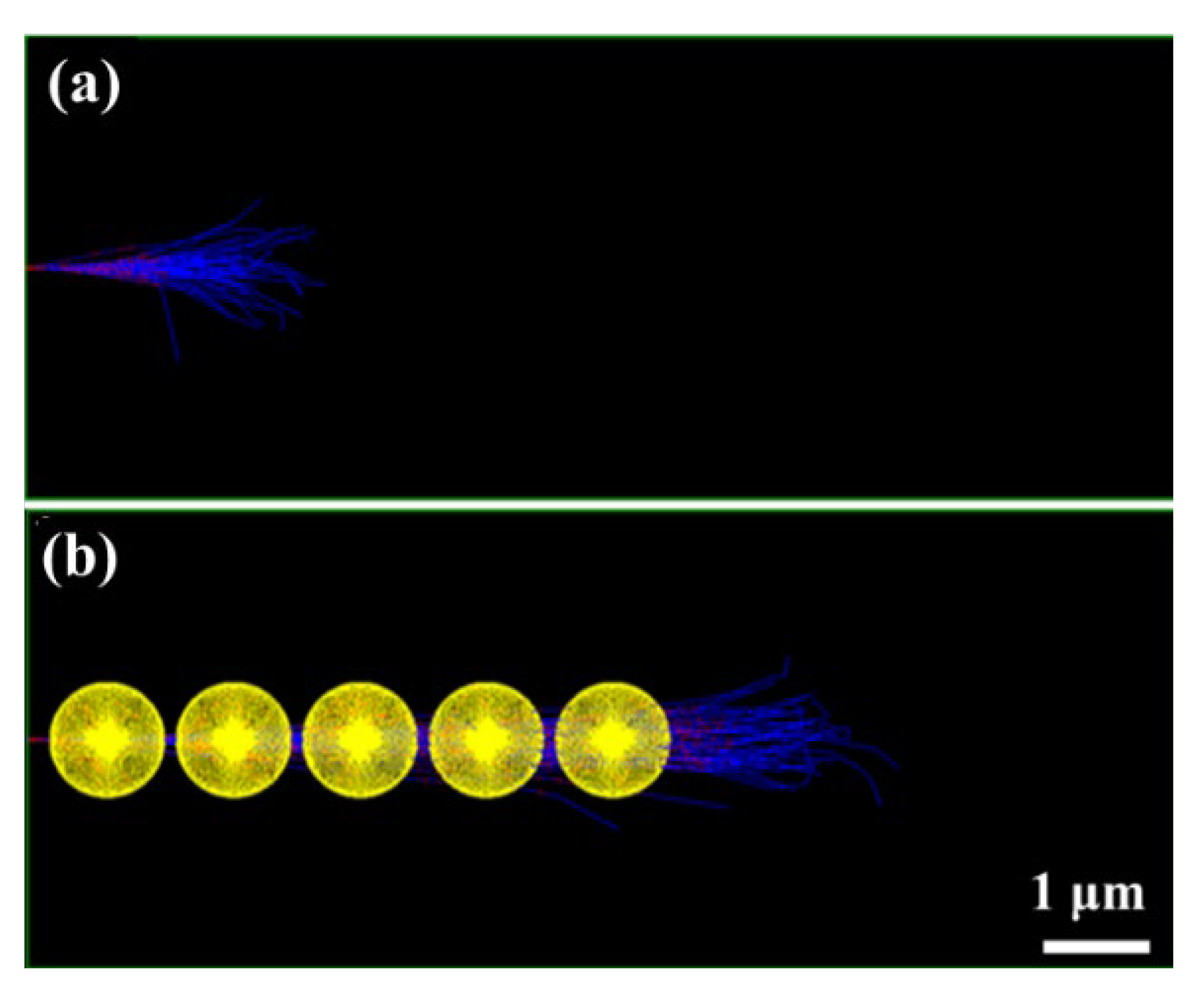 Polymers 14 03563 g002