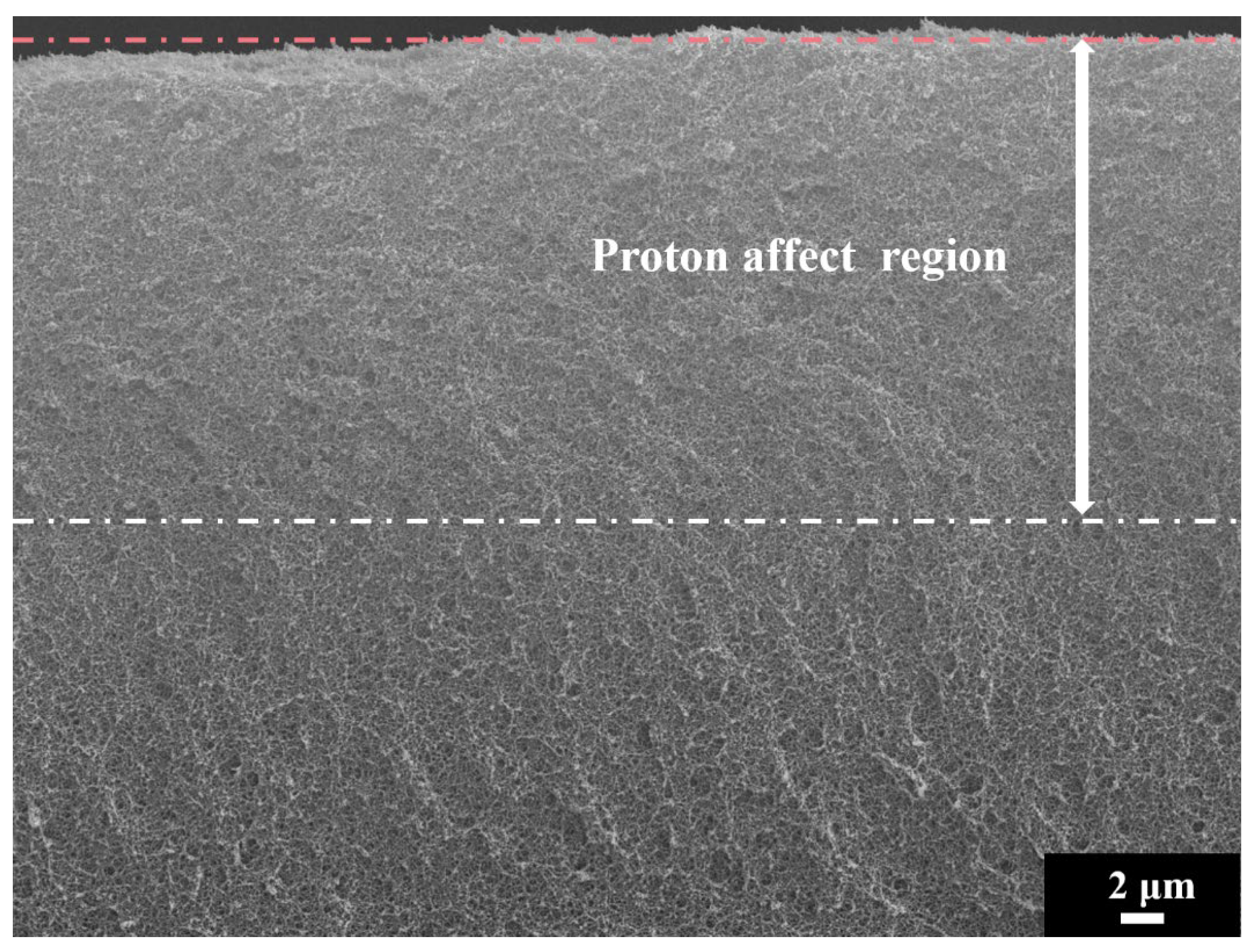 Polymers 14 03563 g009