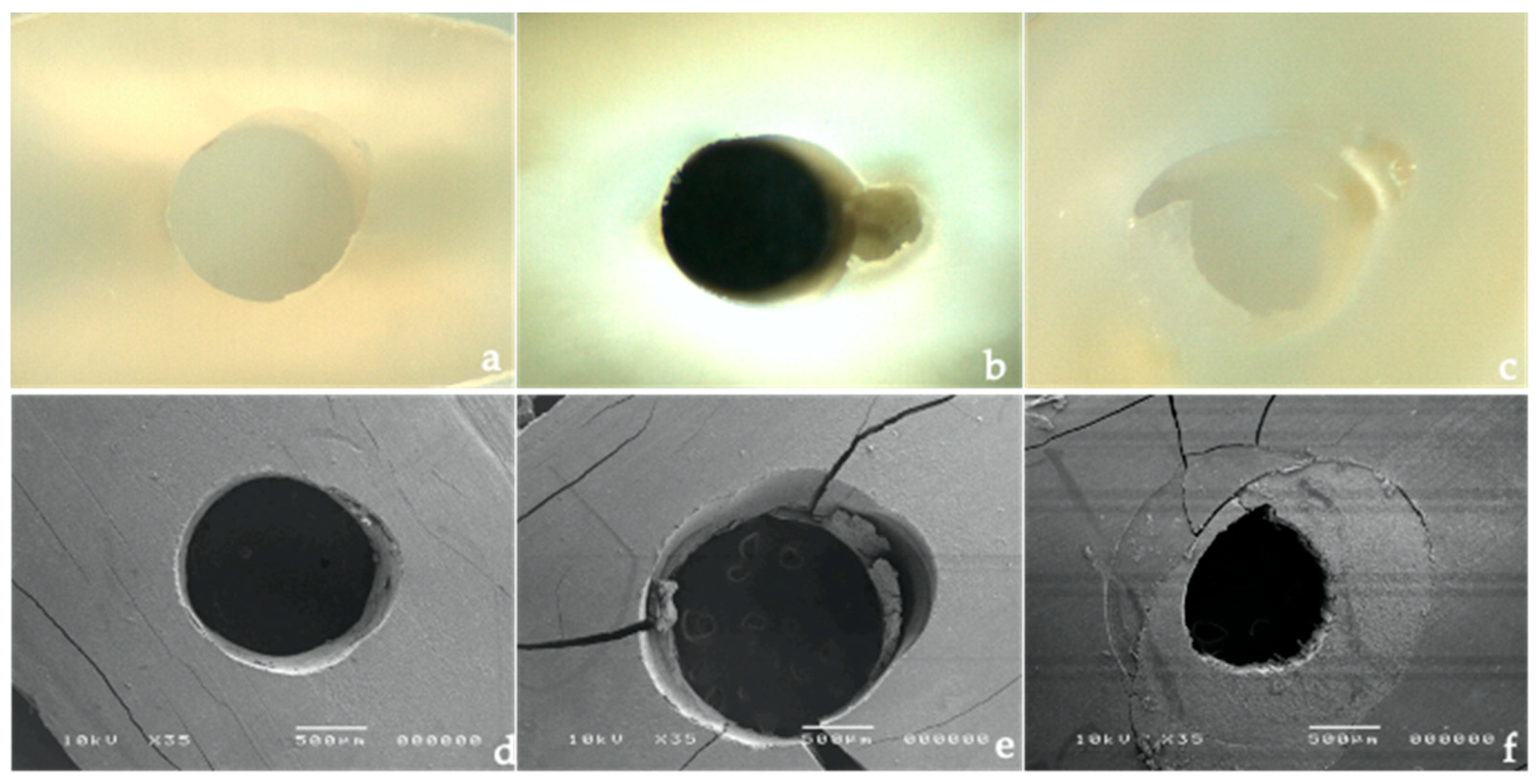 Polymers 14 03567 g002