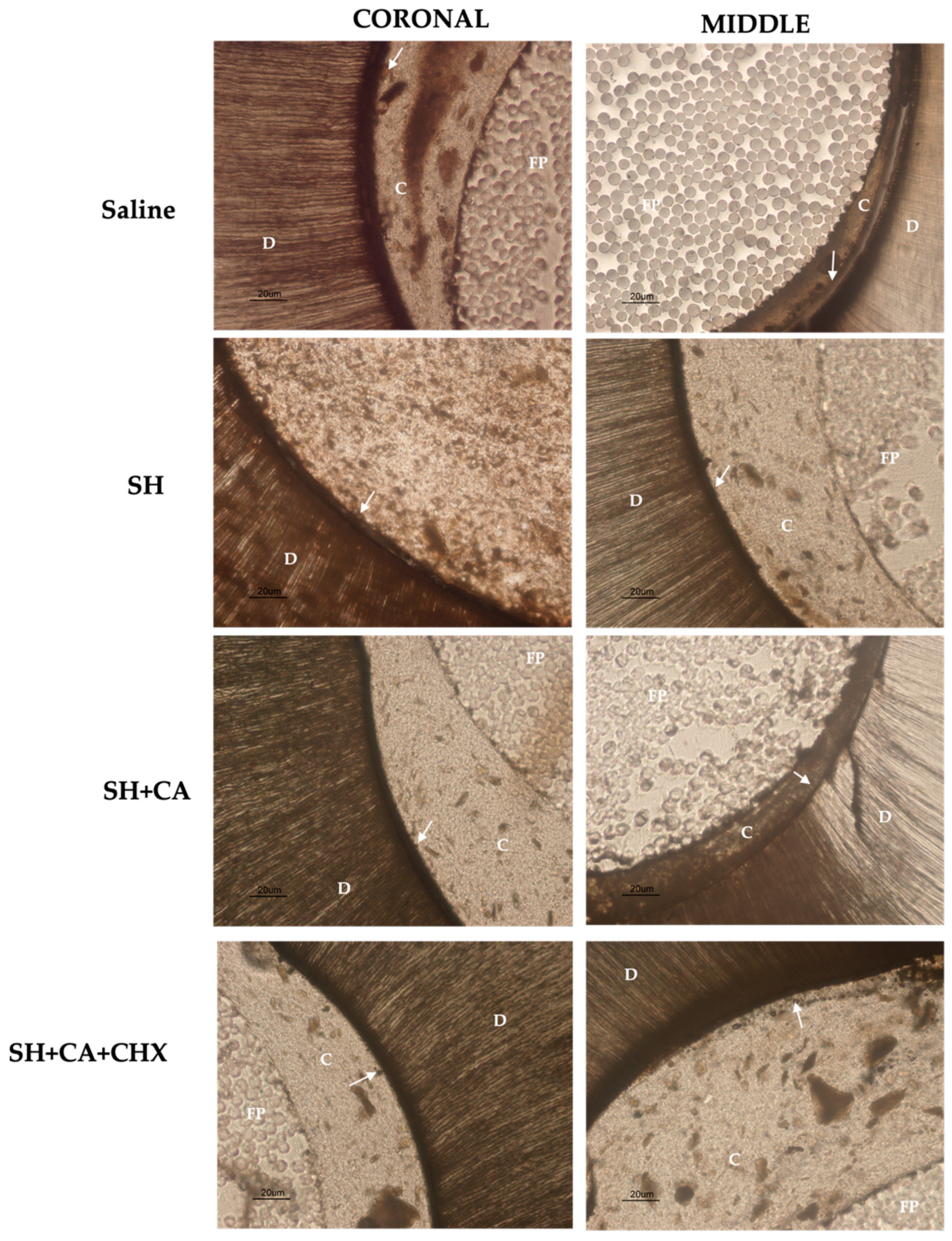 Polymers 14 03567 g006