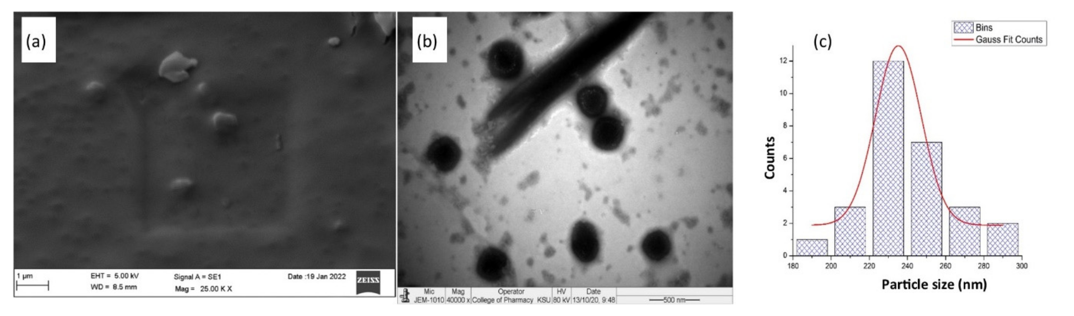 Polymers 14 03577 g005