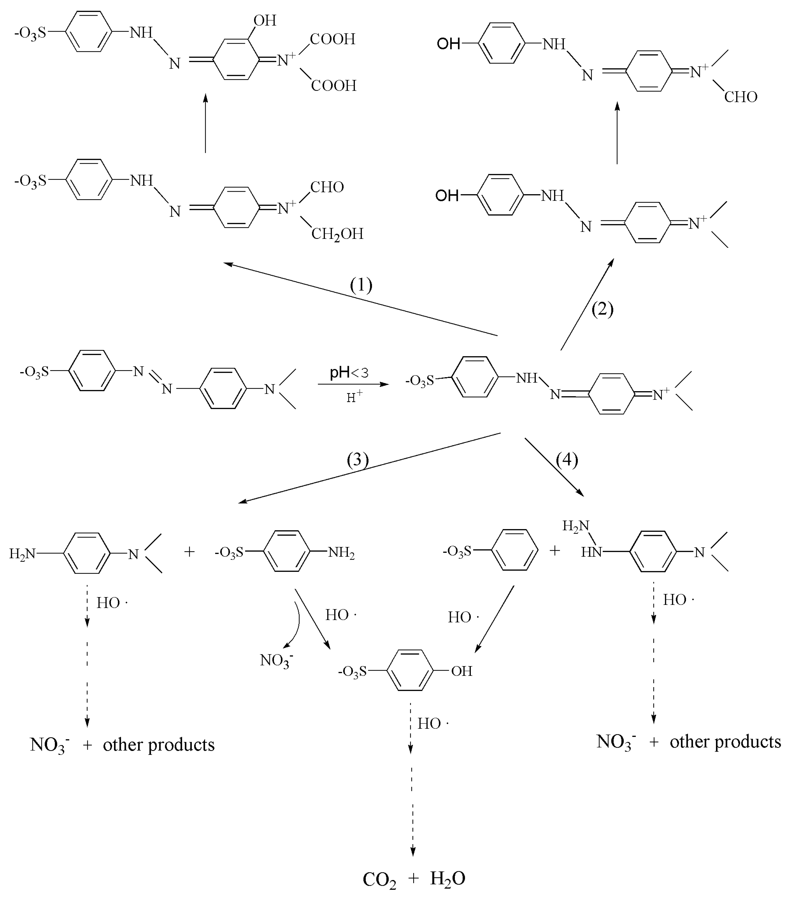 Polymers 14 03584 g011