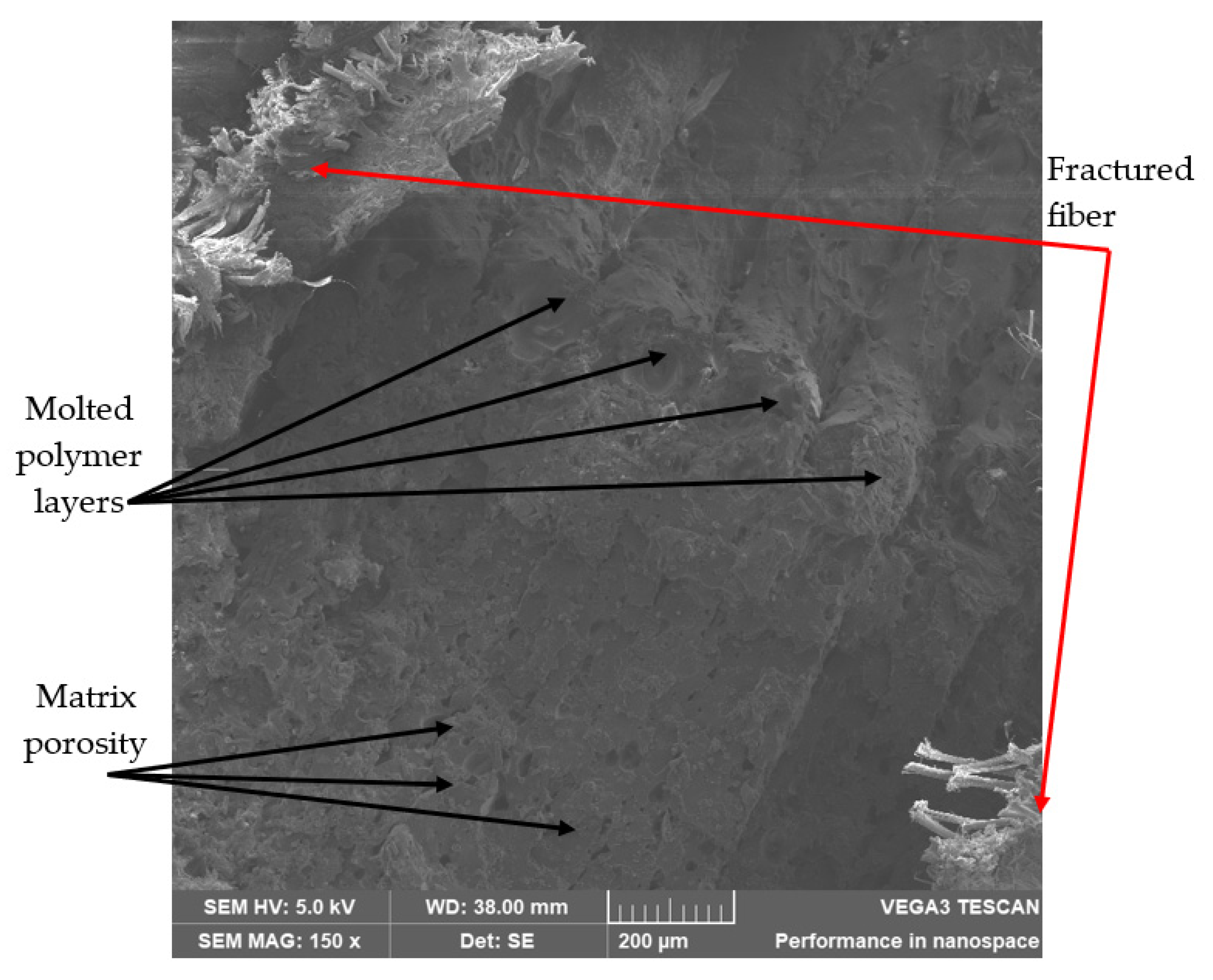 Polymers 14 03586 g014