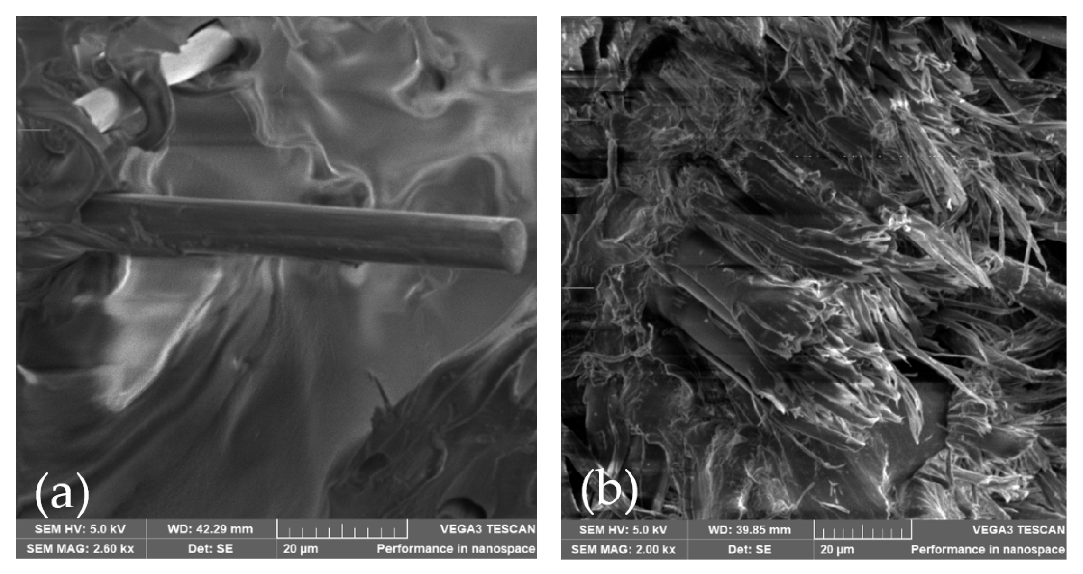 Polymers 14 03586 g015