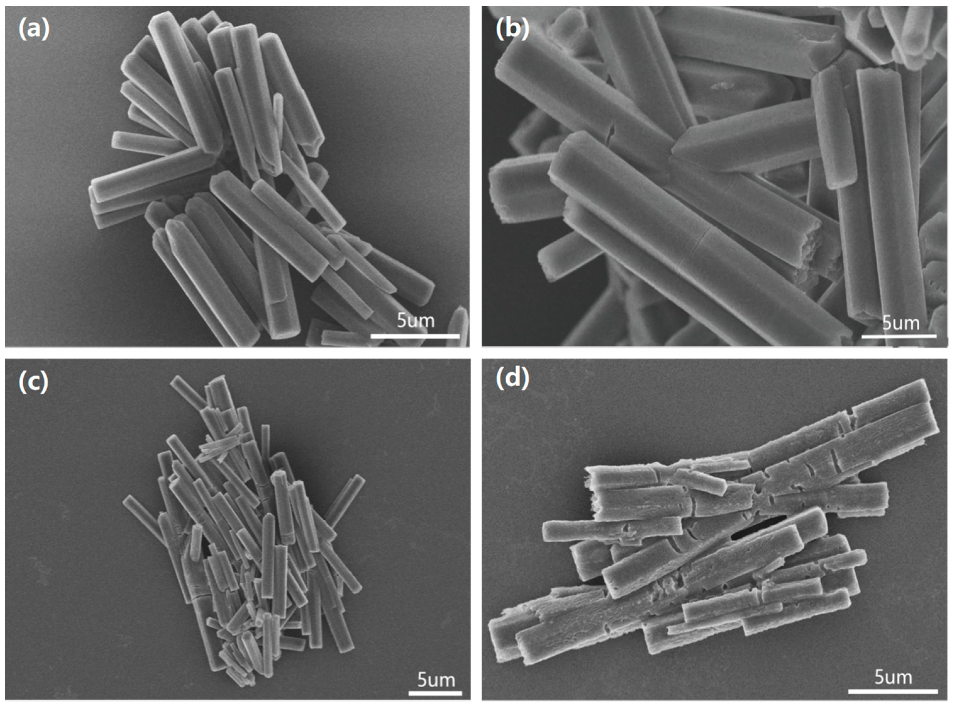 Polymers 14 03591 g001