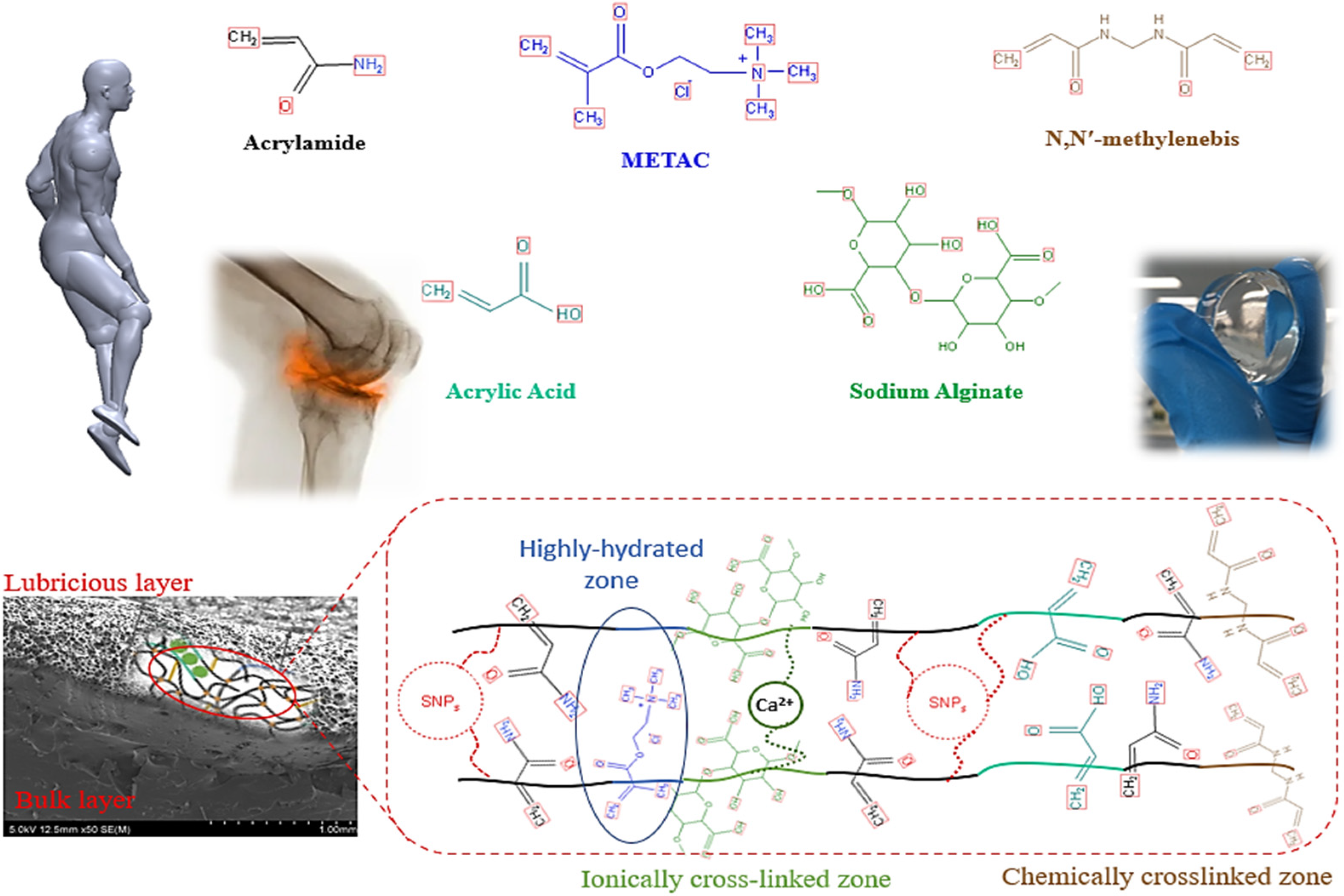Polymers 14 03593 g001