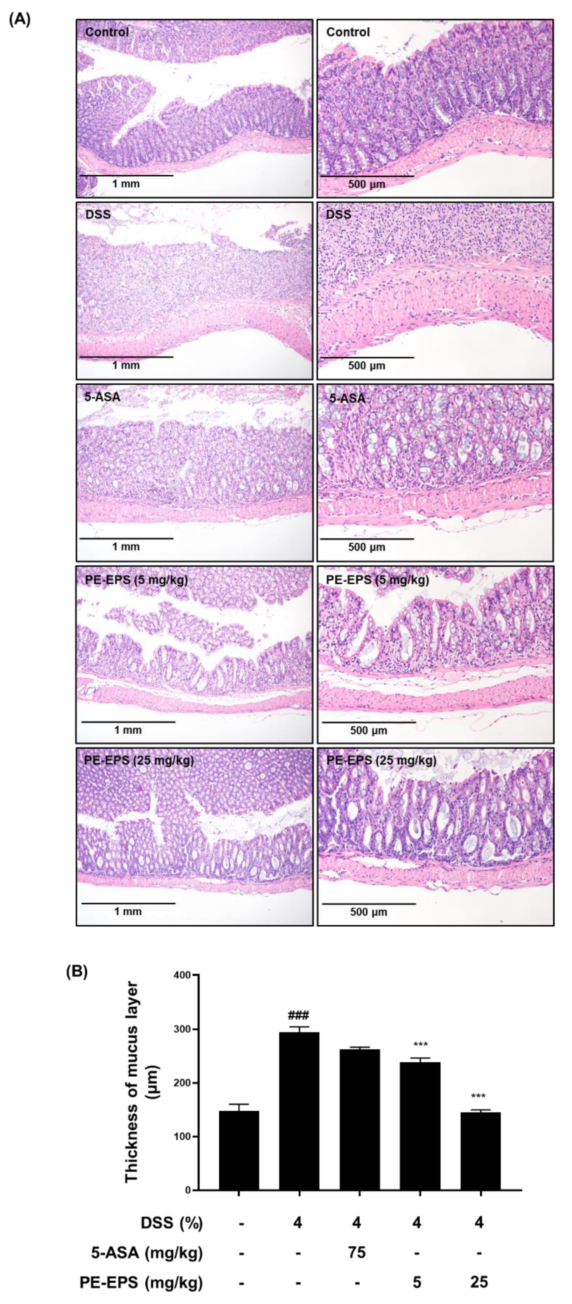 Polymers 14 03594 g003