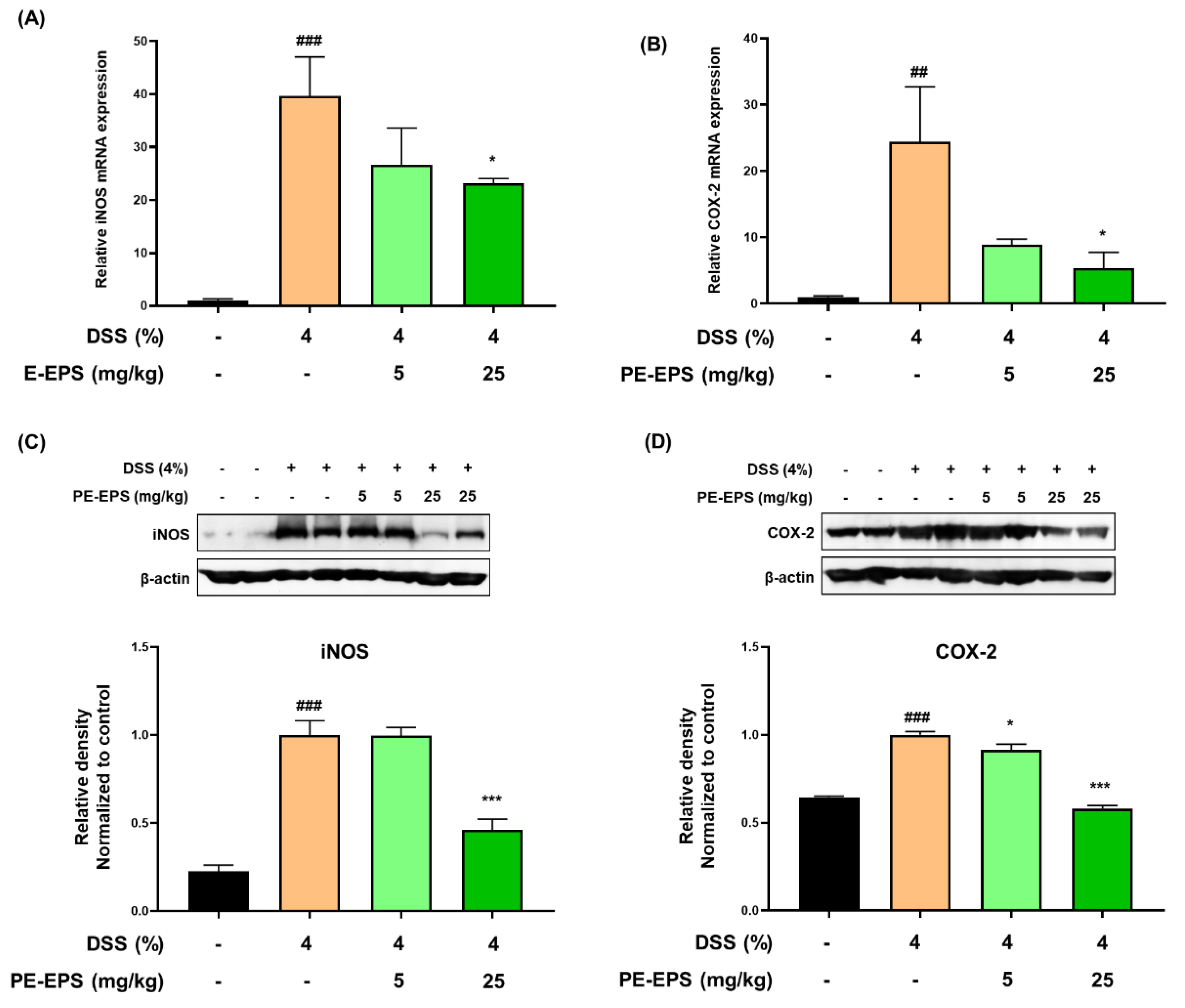 Polymers 14 03594 g004