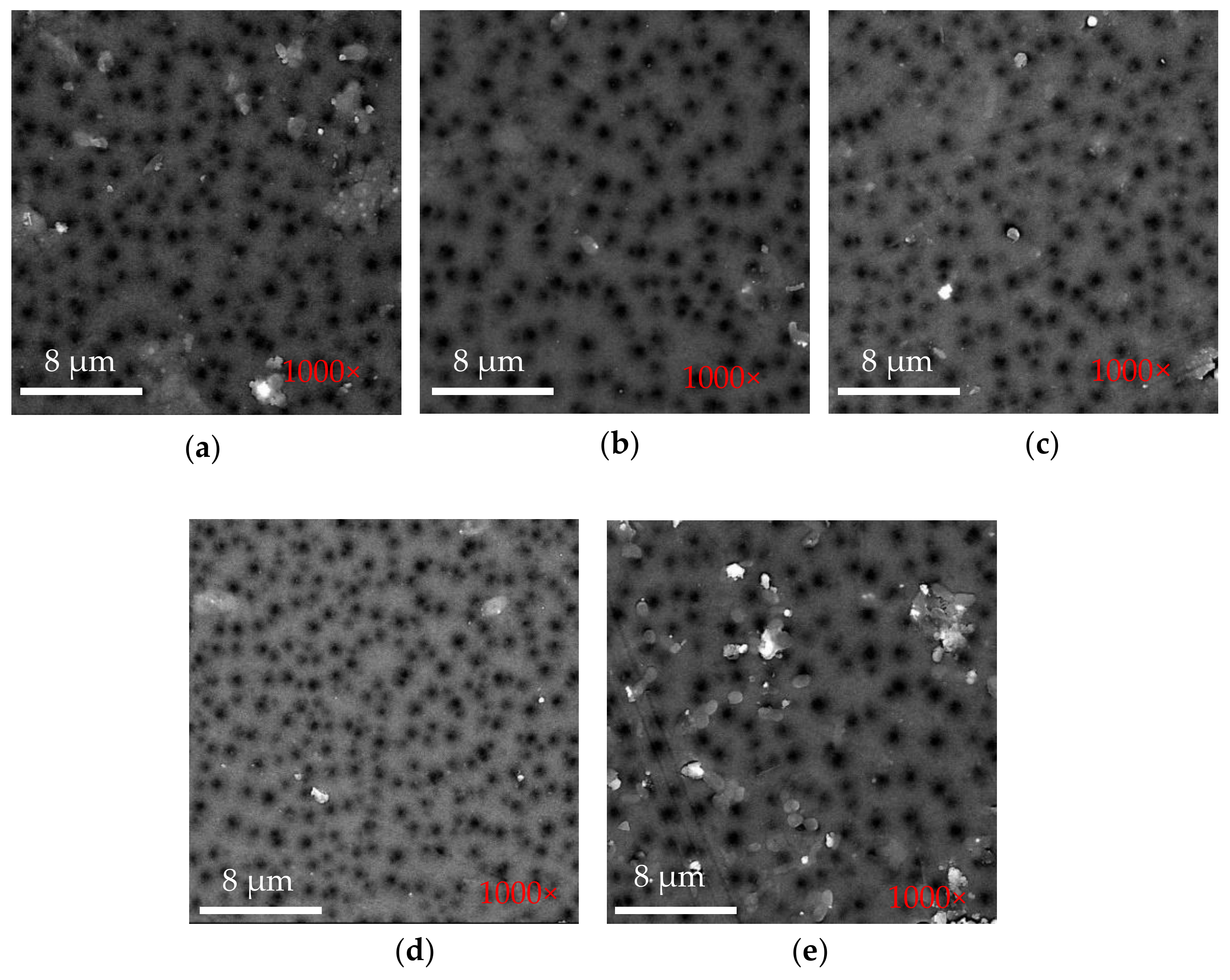 Polymers 14 03600 g009