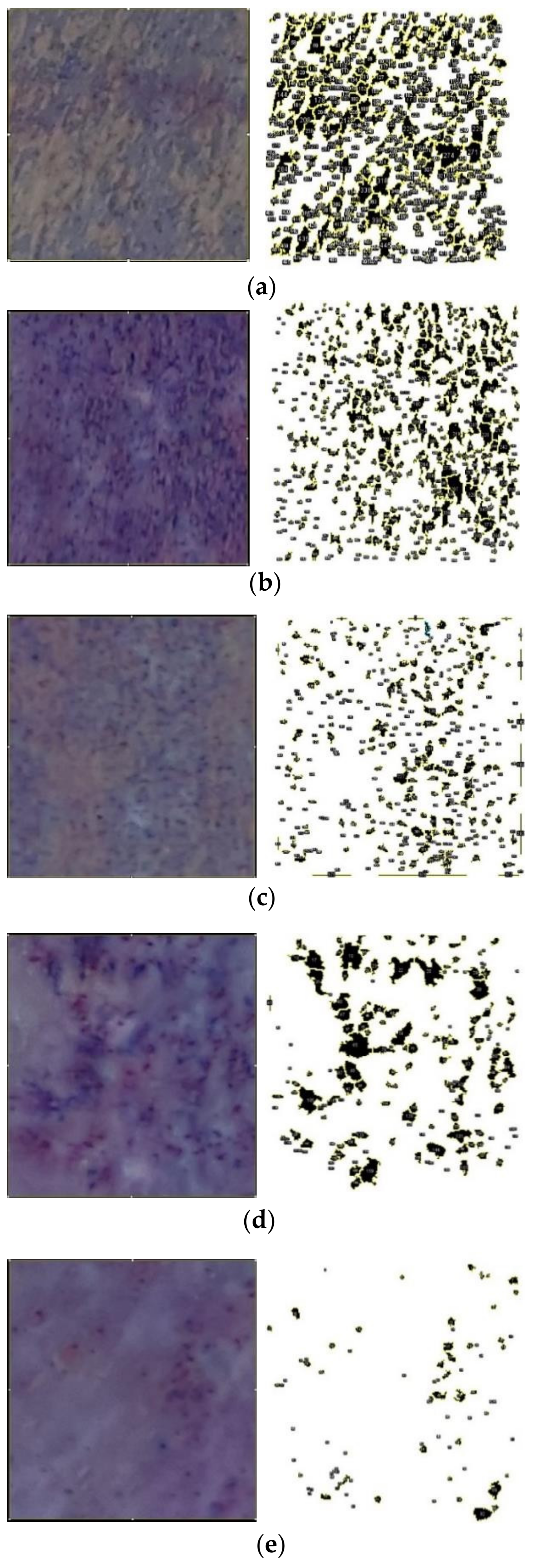 Polymers 14 03600 g010