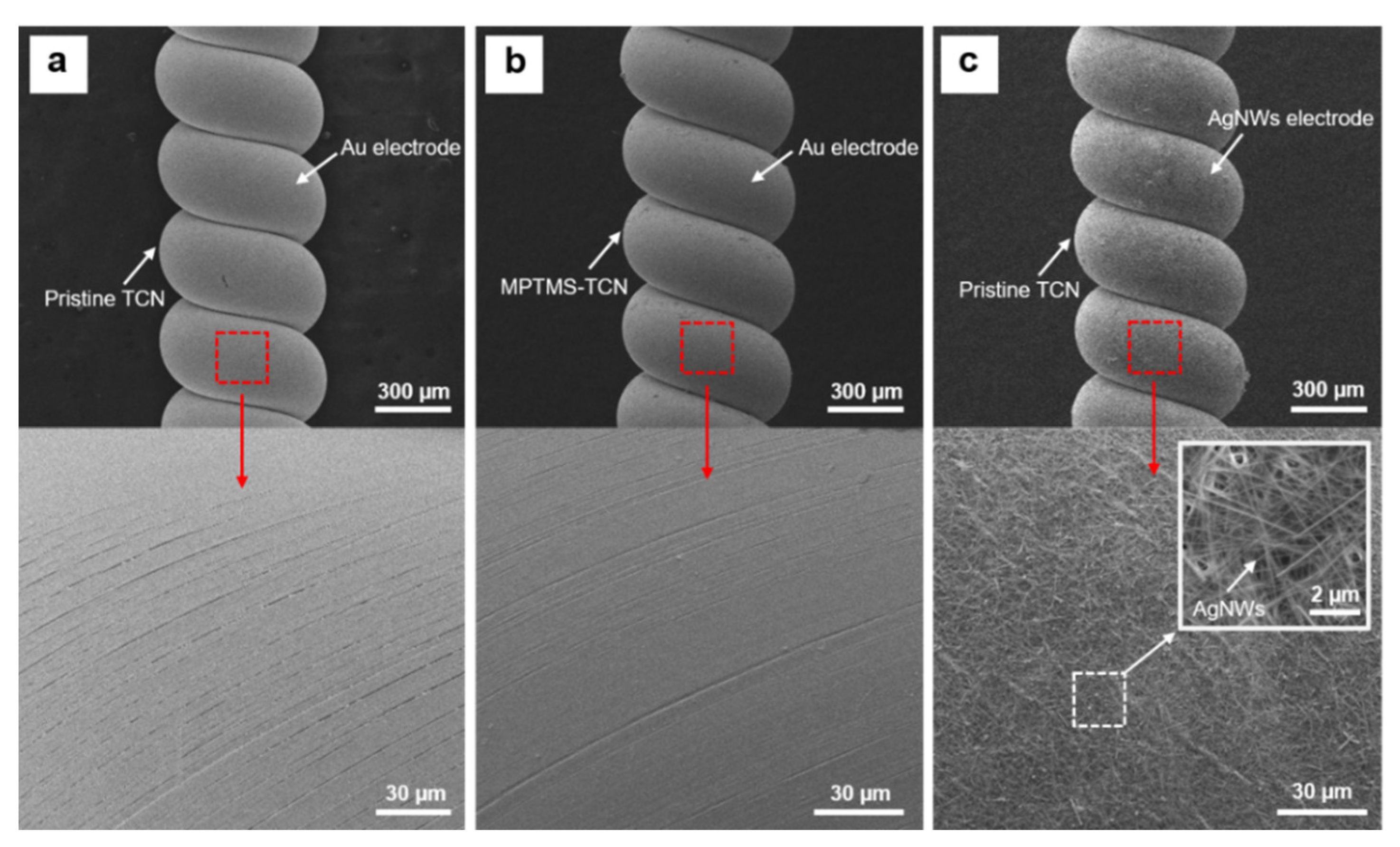 Polymers 14 03601 g006