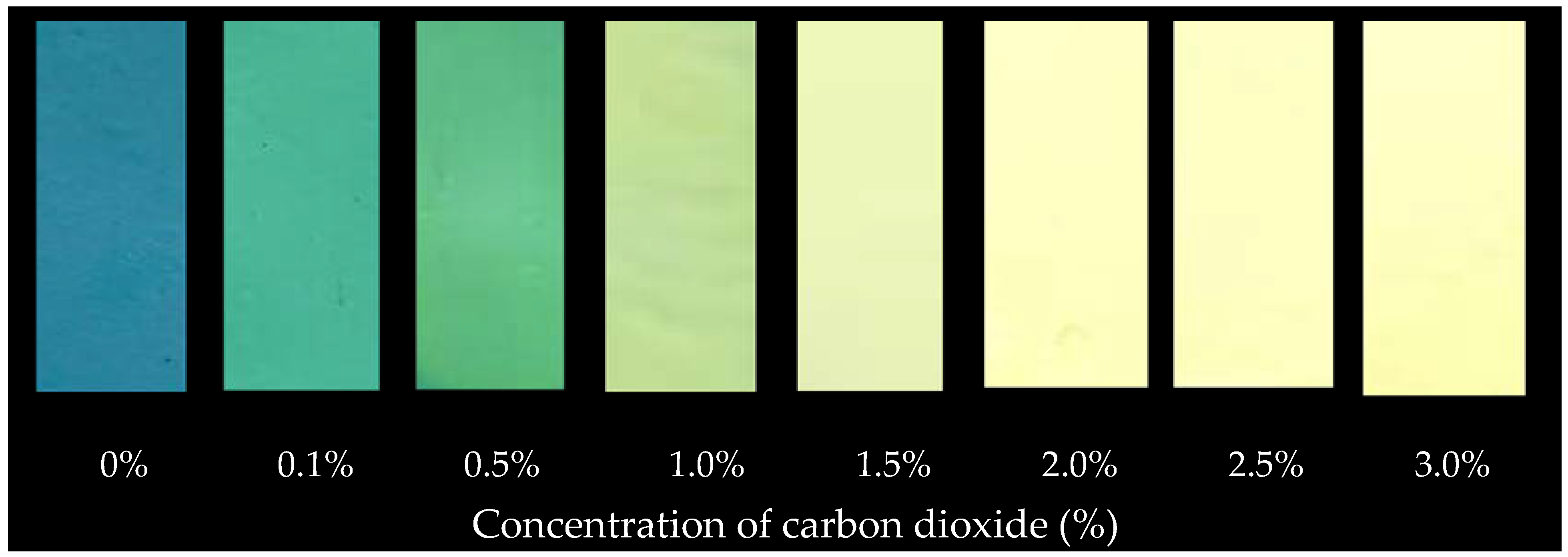 Polymers 14 03616 g002
