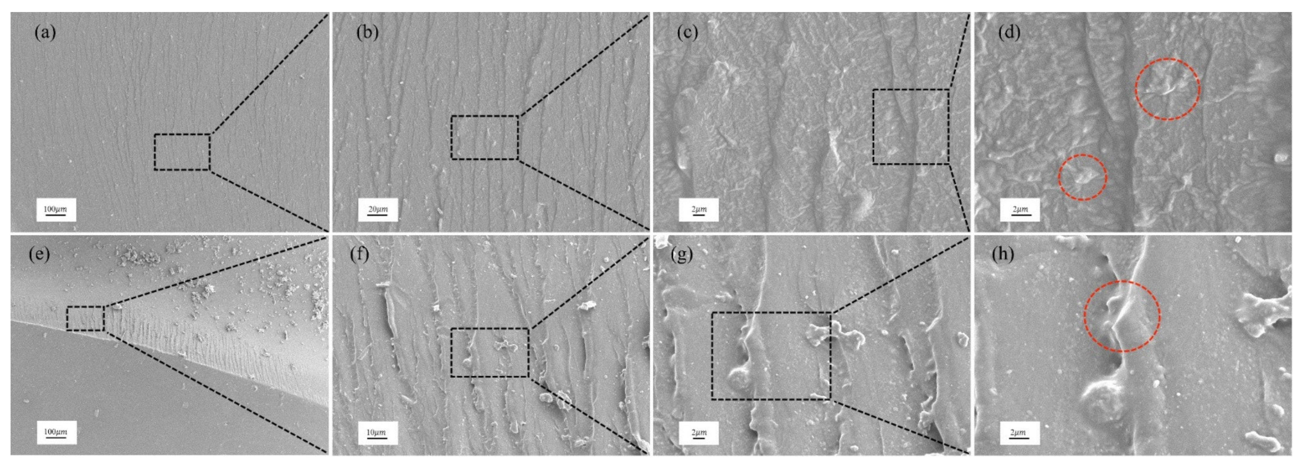 Polymers 14 03618 g008