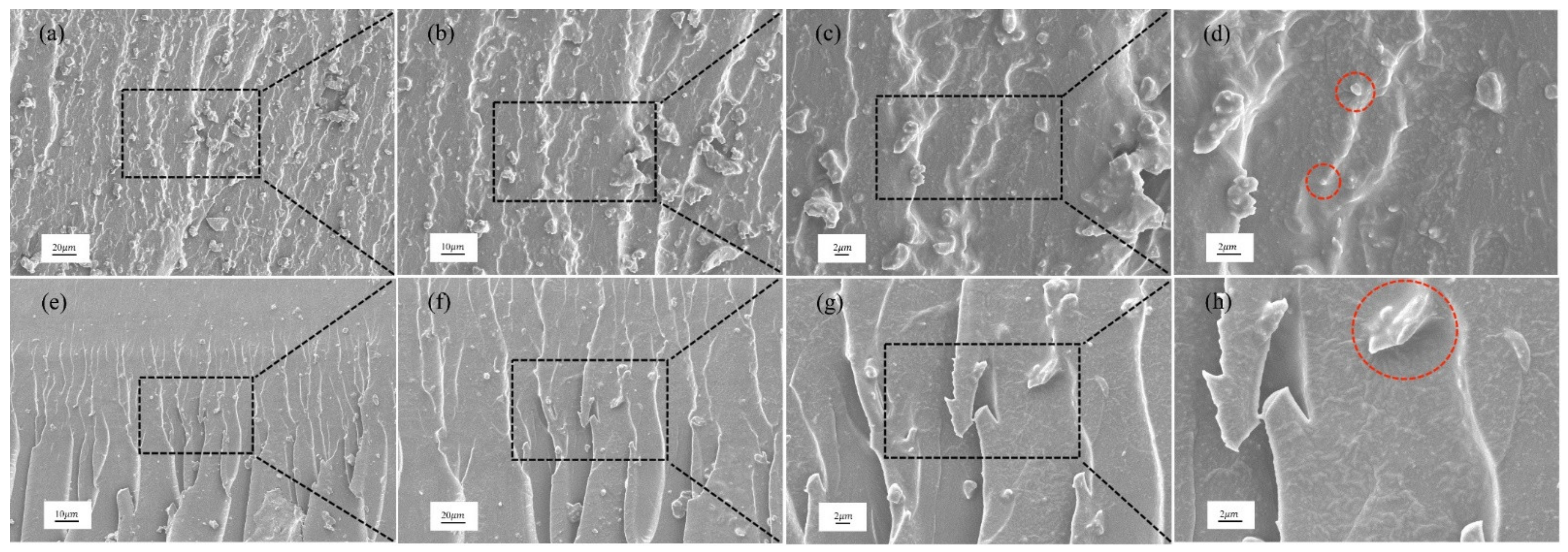 Polymers 14 03618 g009