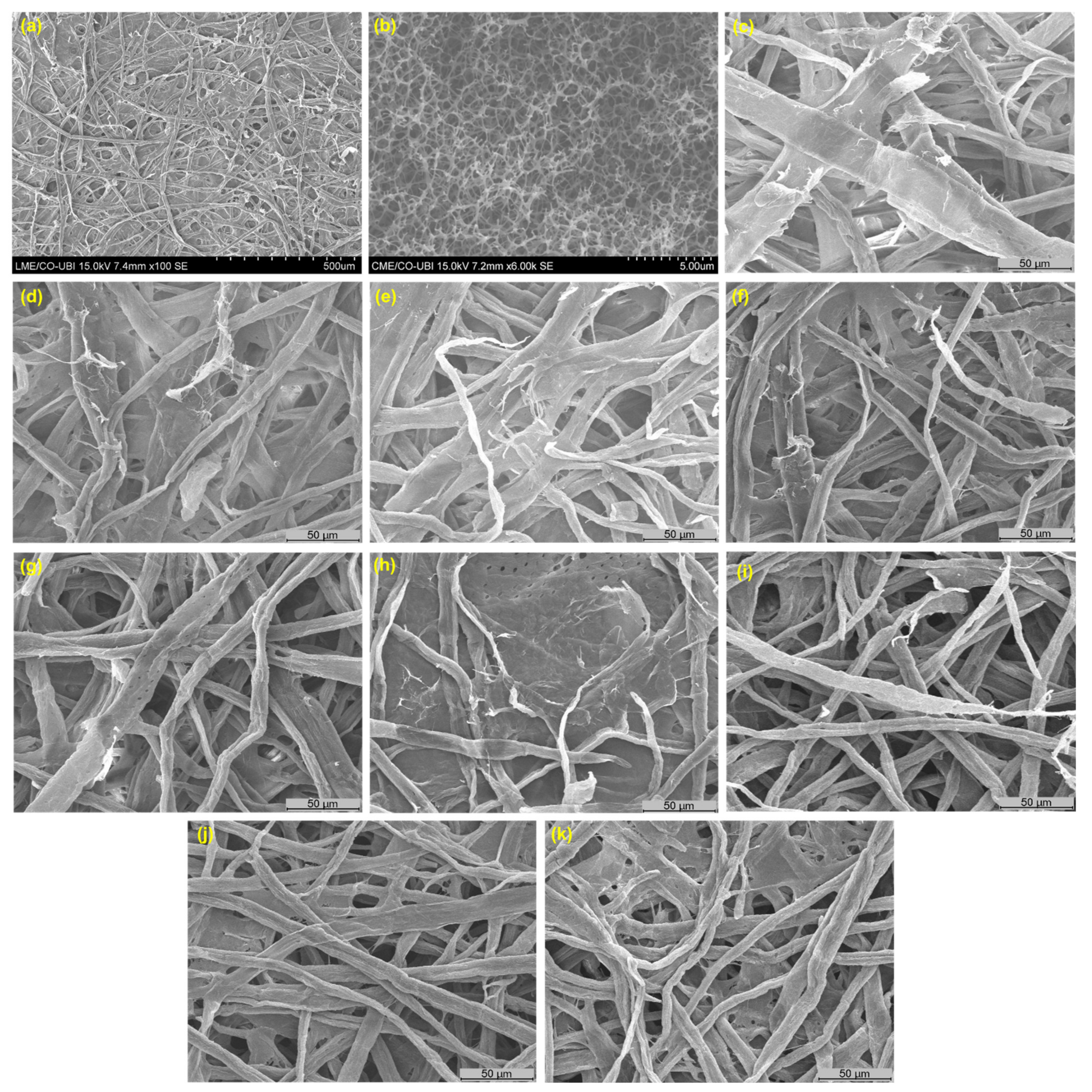 Polymers 14 03621 g003