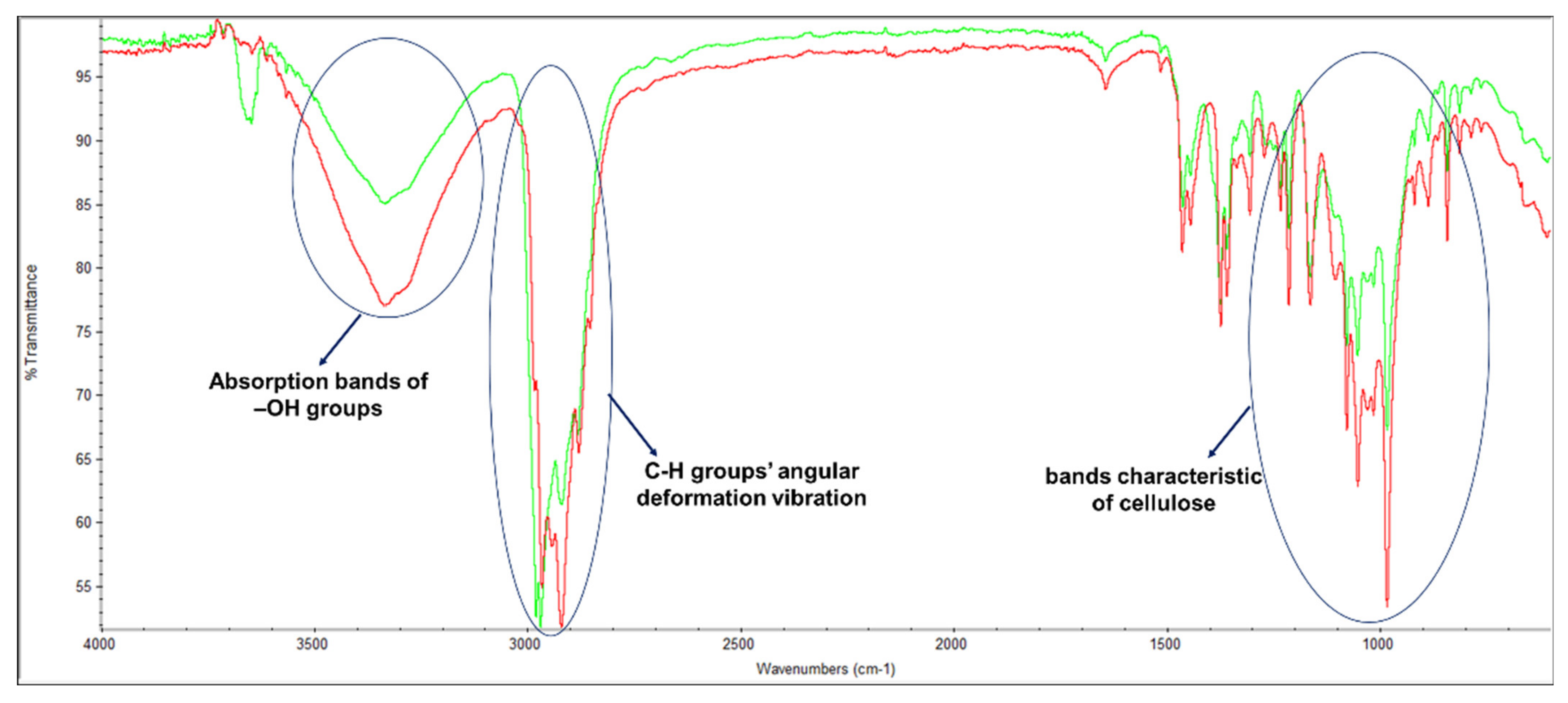 Polymers 14 03621 g004